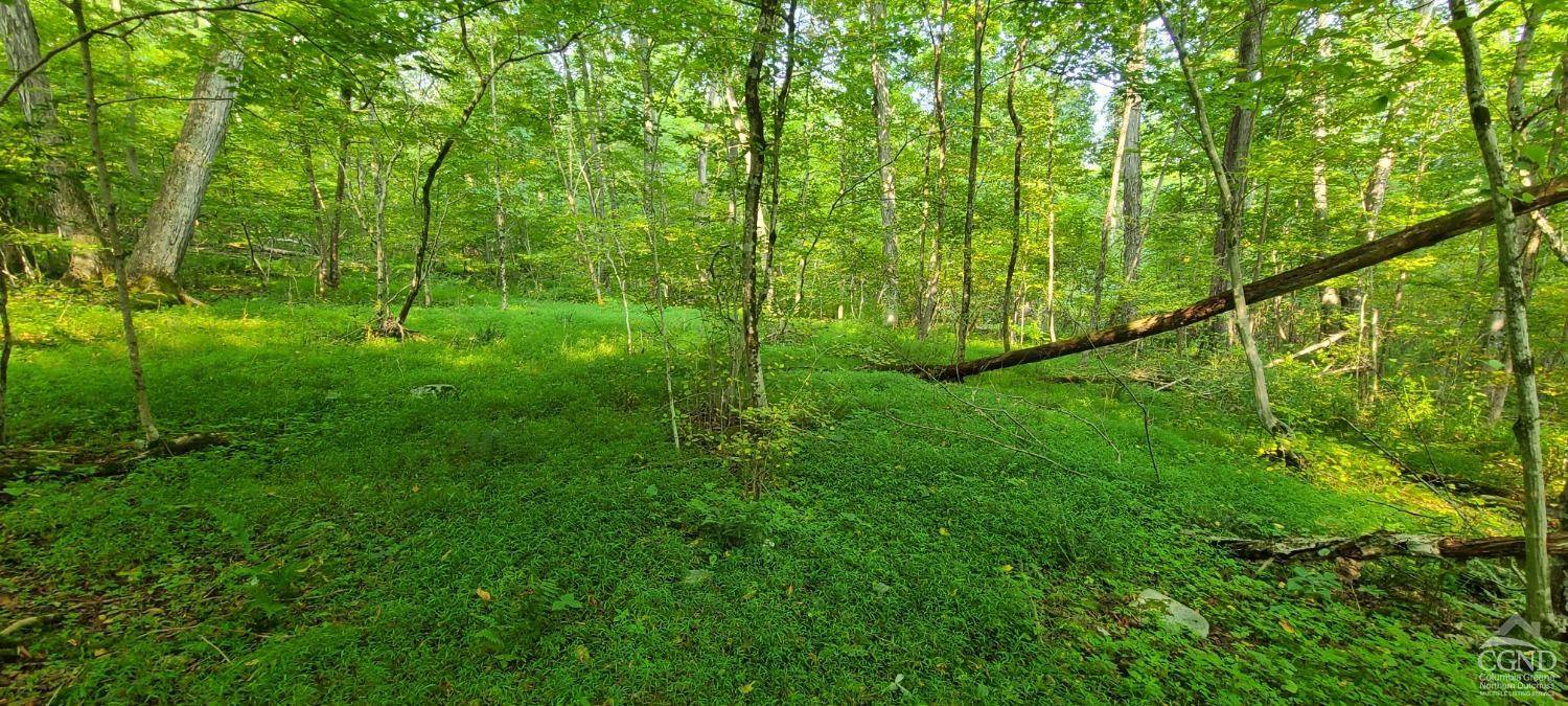 Copake, NY 12521,0 Birch Hill RD #Lot A