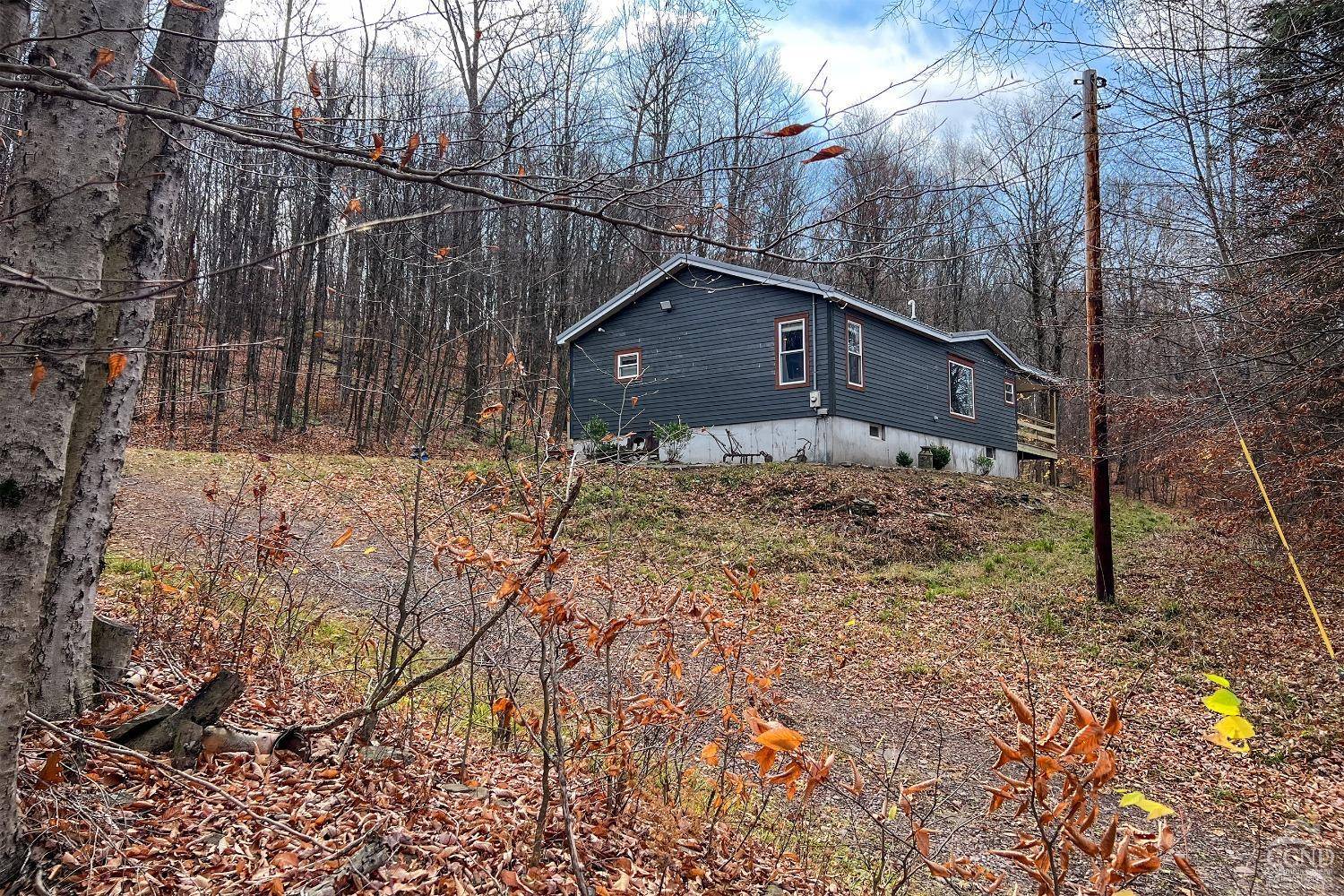 Hamden, NY 13782,464 Curtis Lane