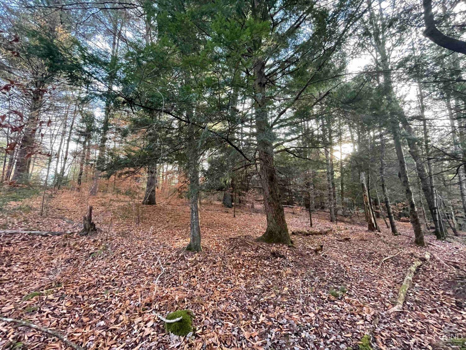 Wawarsing, NY 12423,0 Camp RD