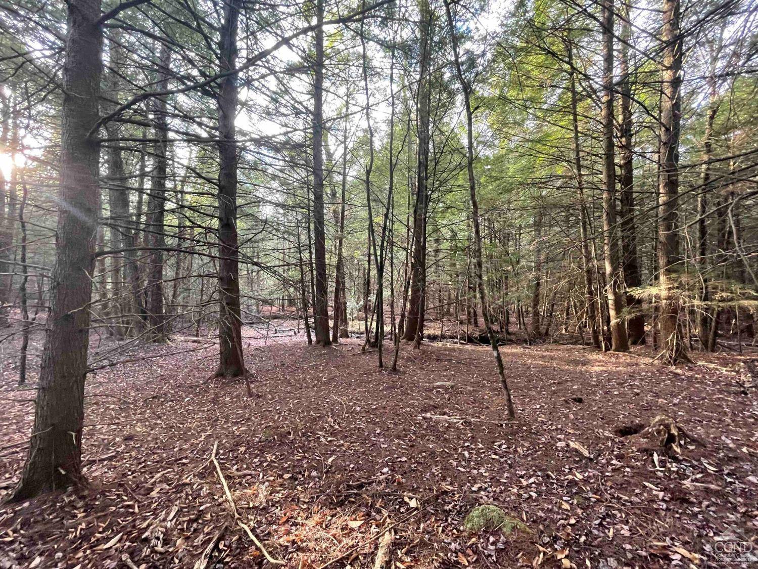 Wawarsing, NY 12423,0 Camp RD