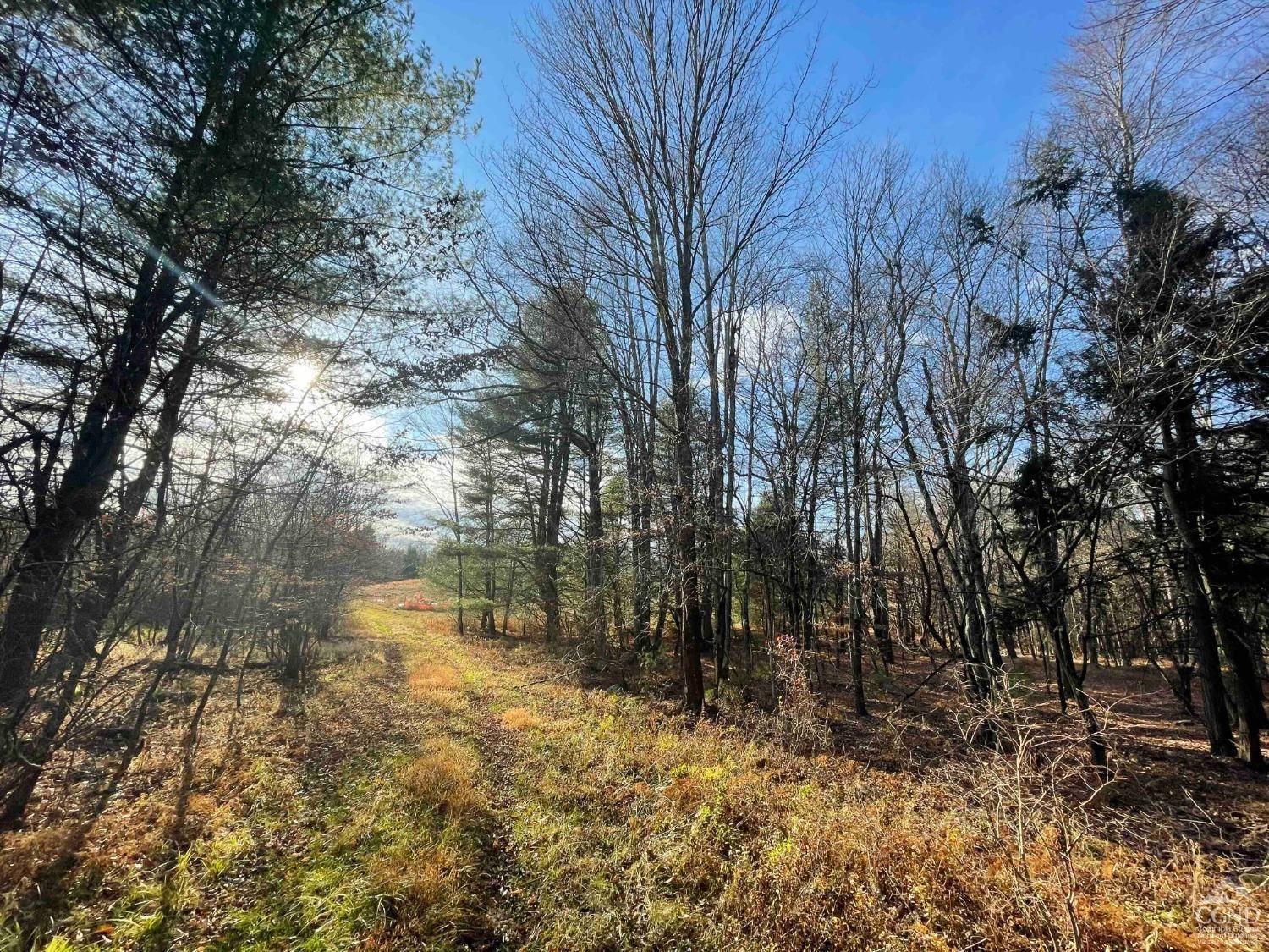 Wawarsing, NY 12423,0 Camp RD