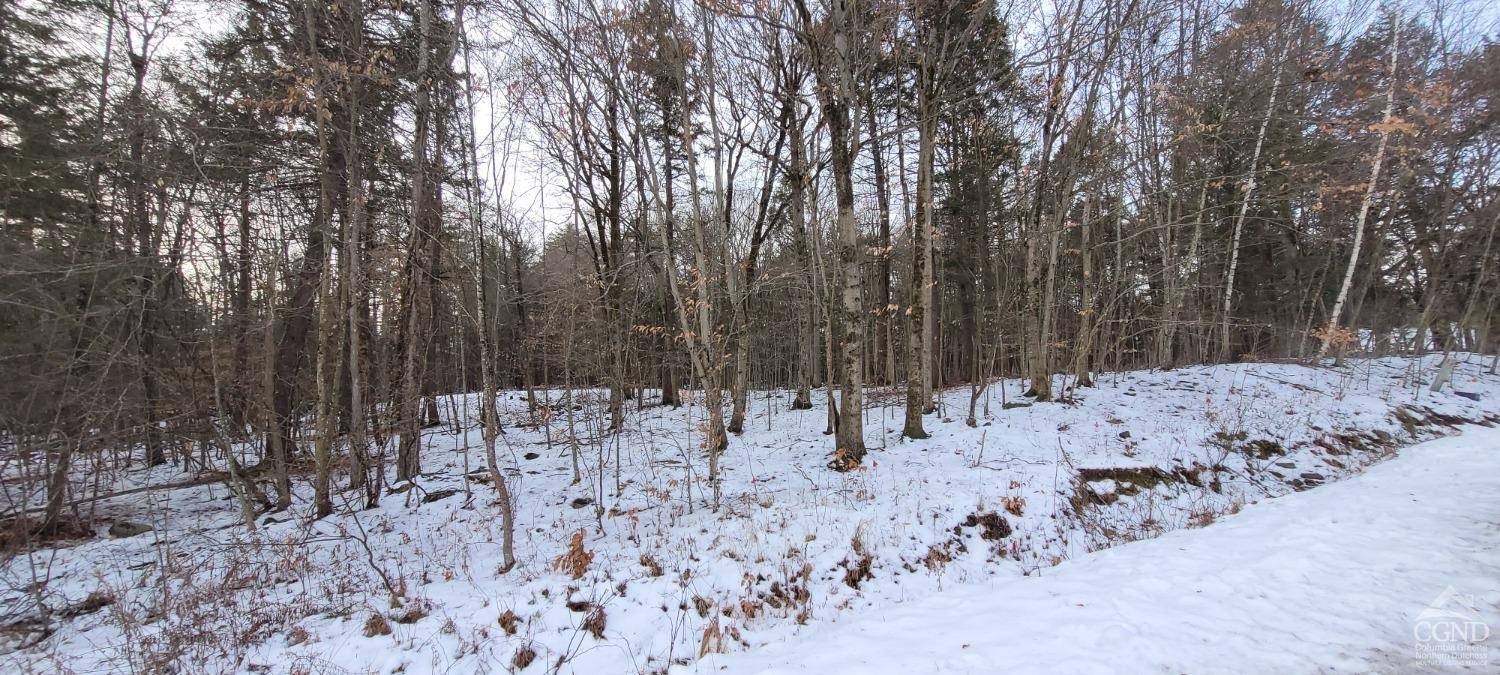 Greenville, NY 12083,18 High Acres Lane (rd)