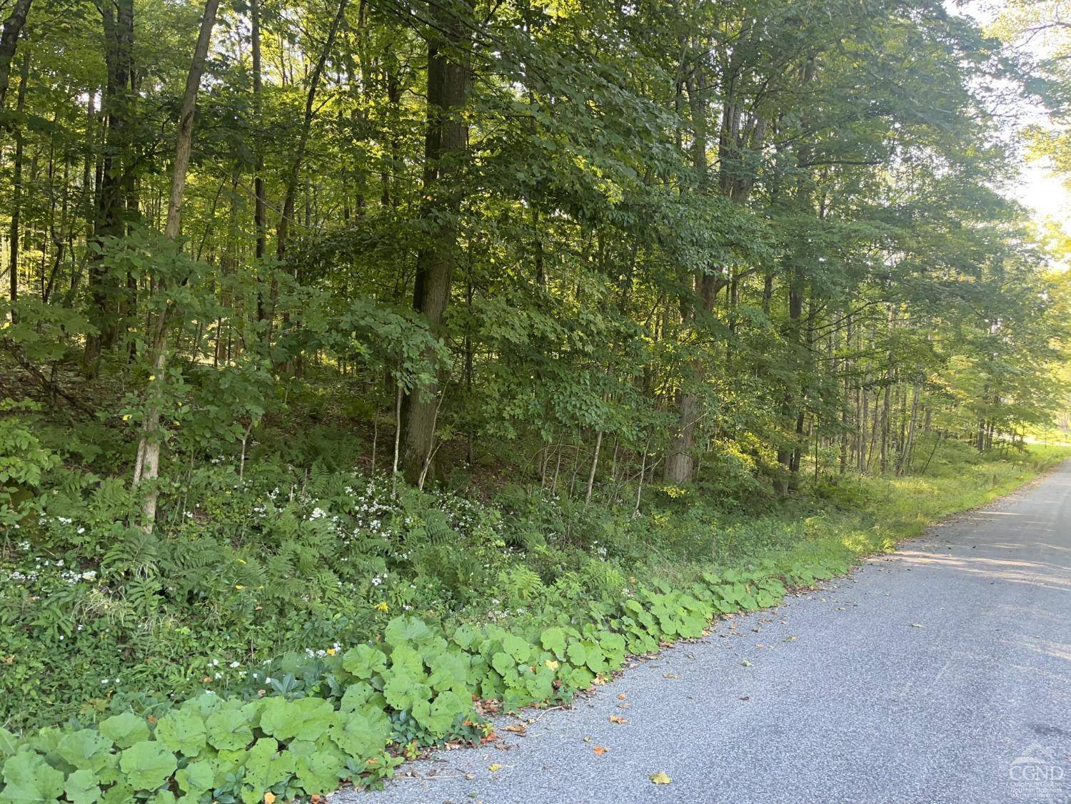 New Lebanon, NY 12125,0 Churchill RD
