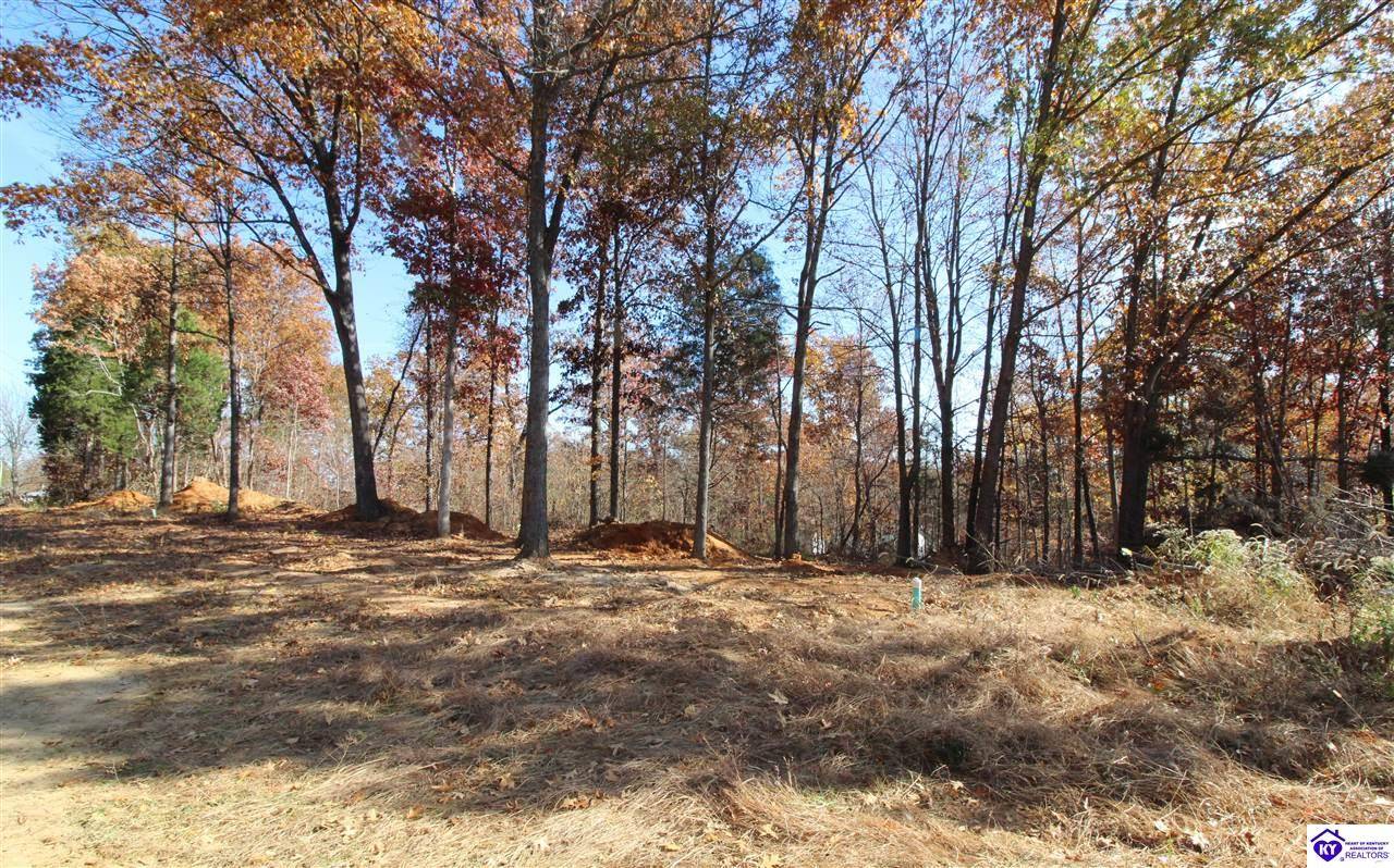 Elizabethtown, KY 42701,176 S Boundary Road