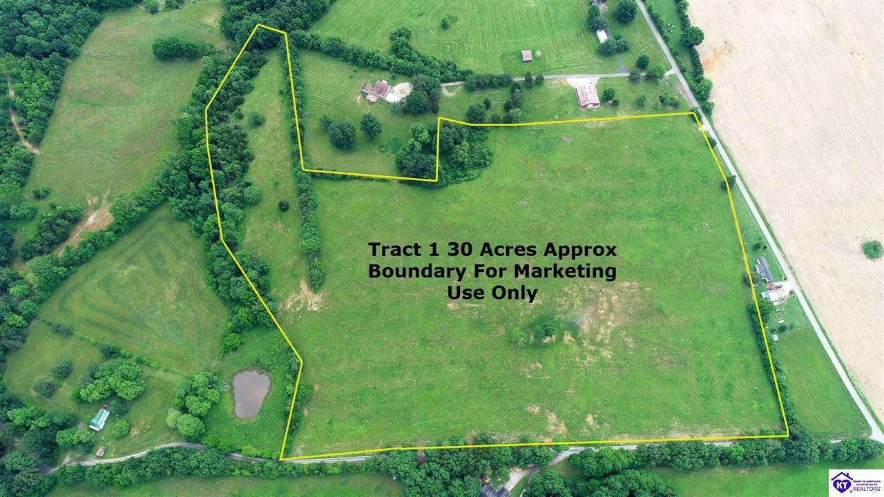 Caneyville, KY 42721,Tract 1 Sinks Road