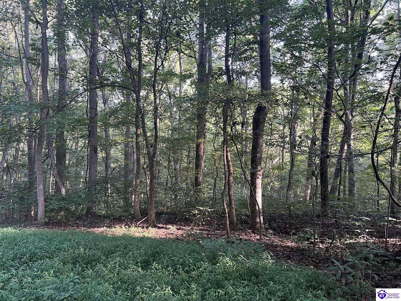 Fountain Run, KY 42133,Lot# 233 Settlers Point Road