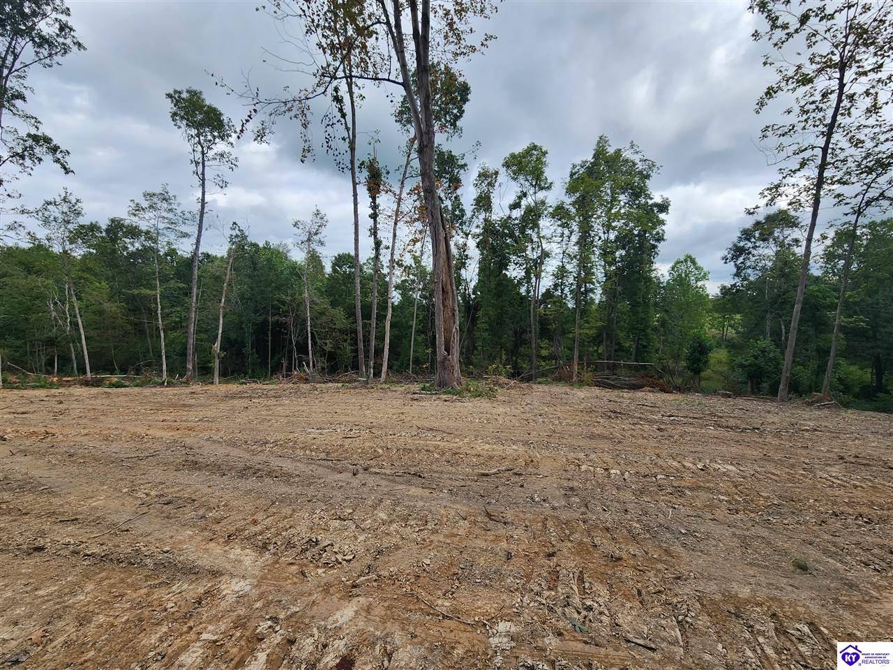 Cecilia, KY 42724,Lot 0 Leitchfield Road