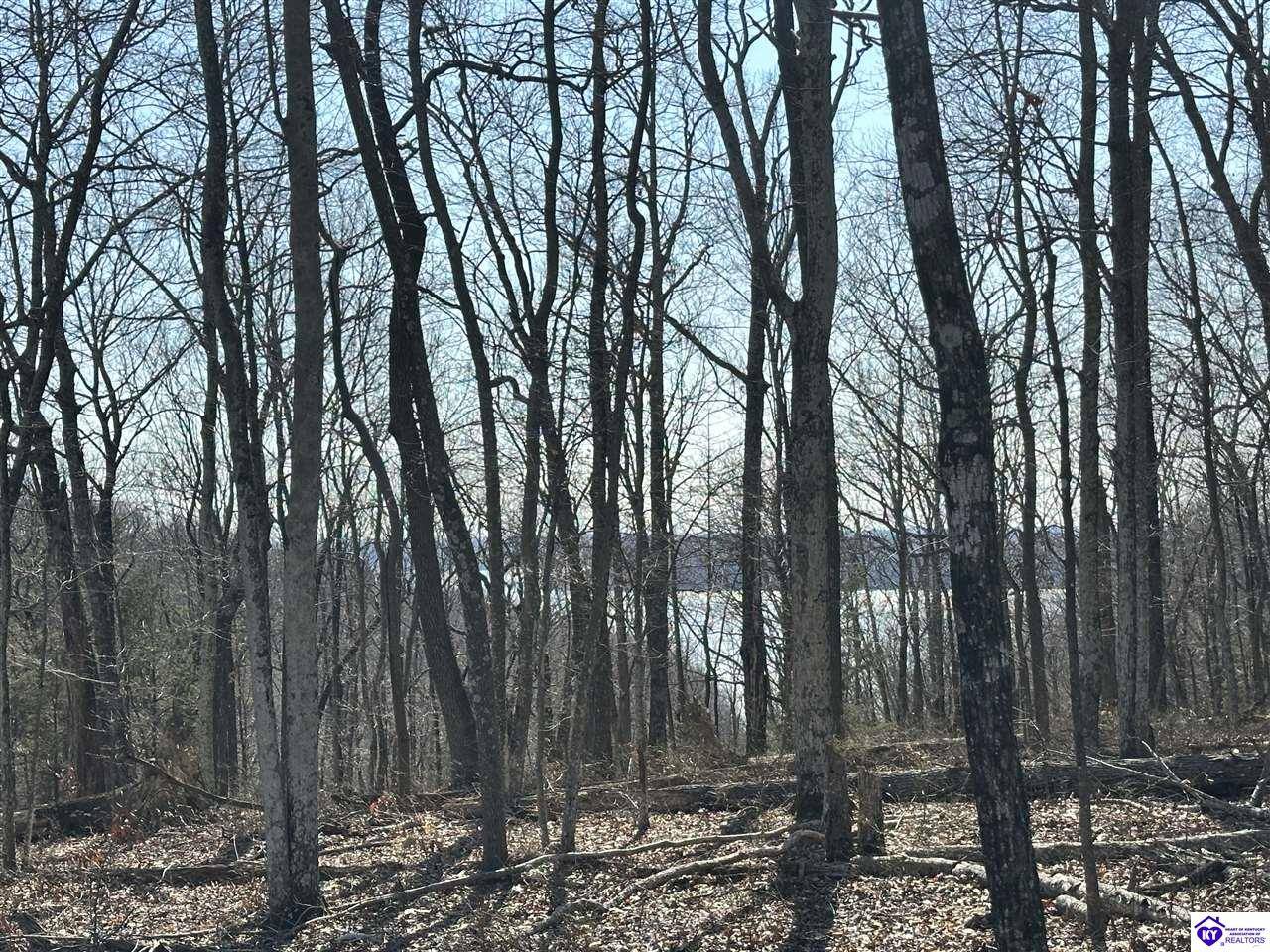 Columbia, KY 42728,0 Pikes Ridge Road