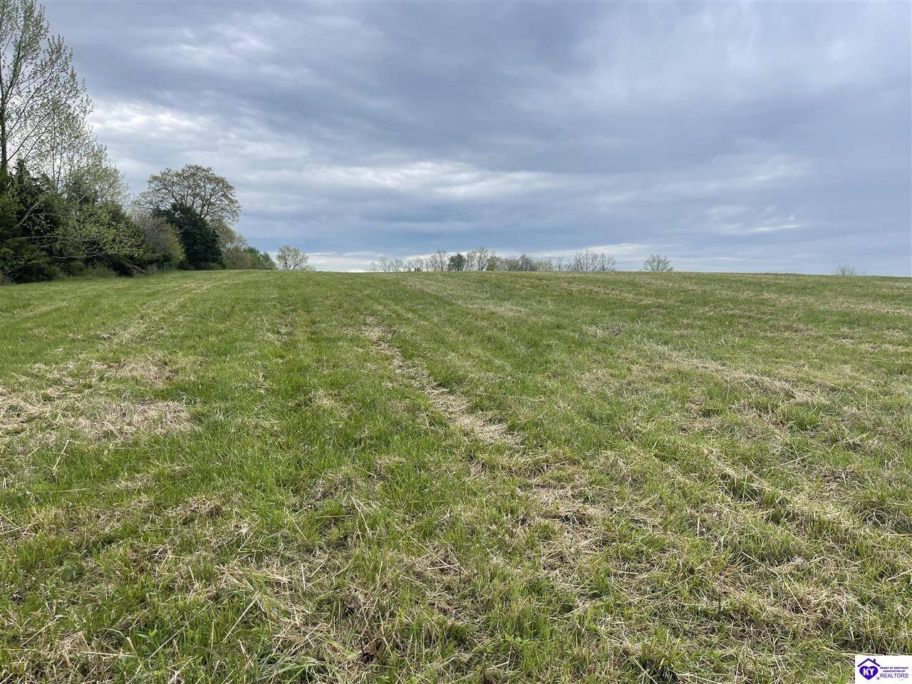 Campbellsville, KY 42718,Tract 9 Webster Road