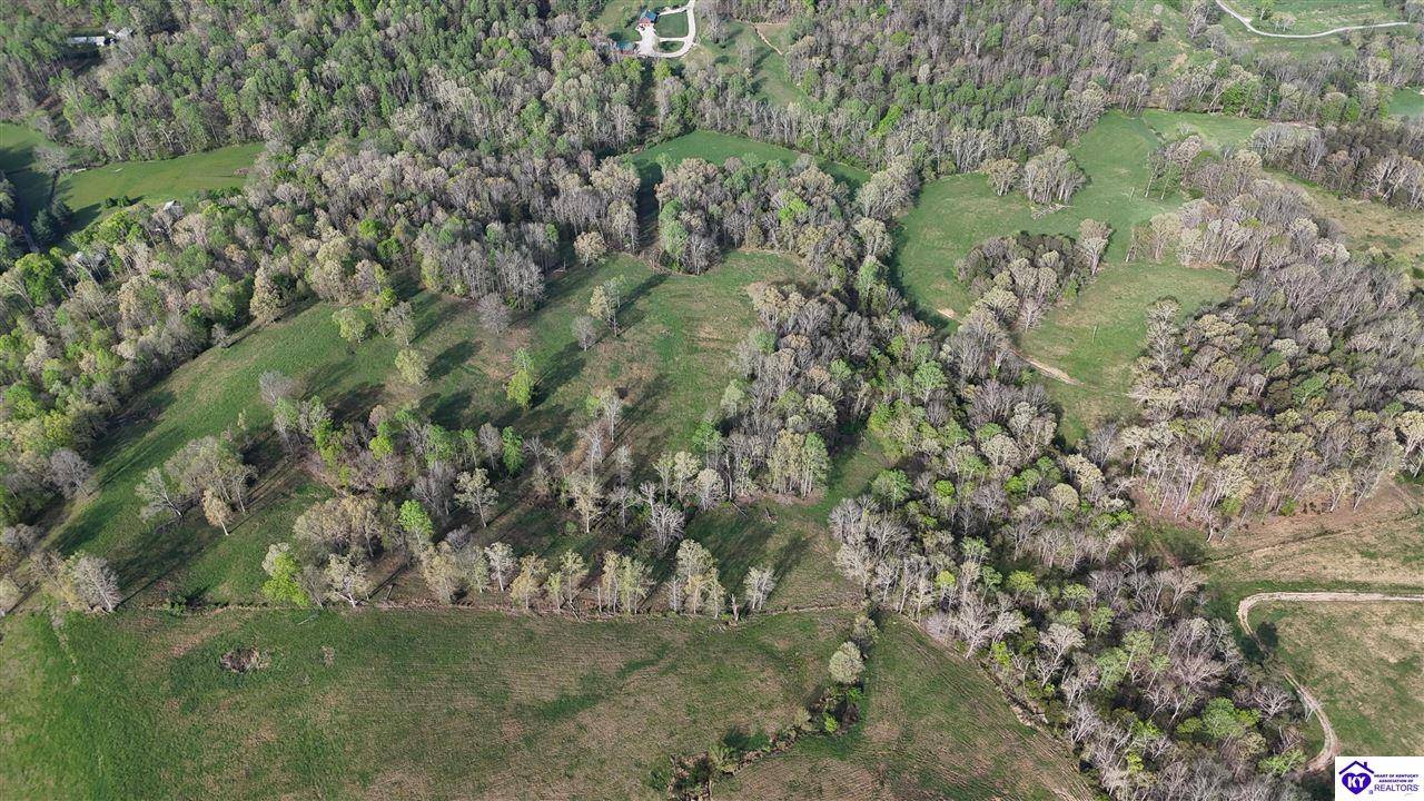 Munfordville, KY 42729,66 AC Lester Gardner Rd