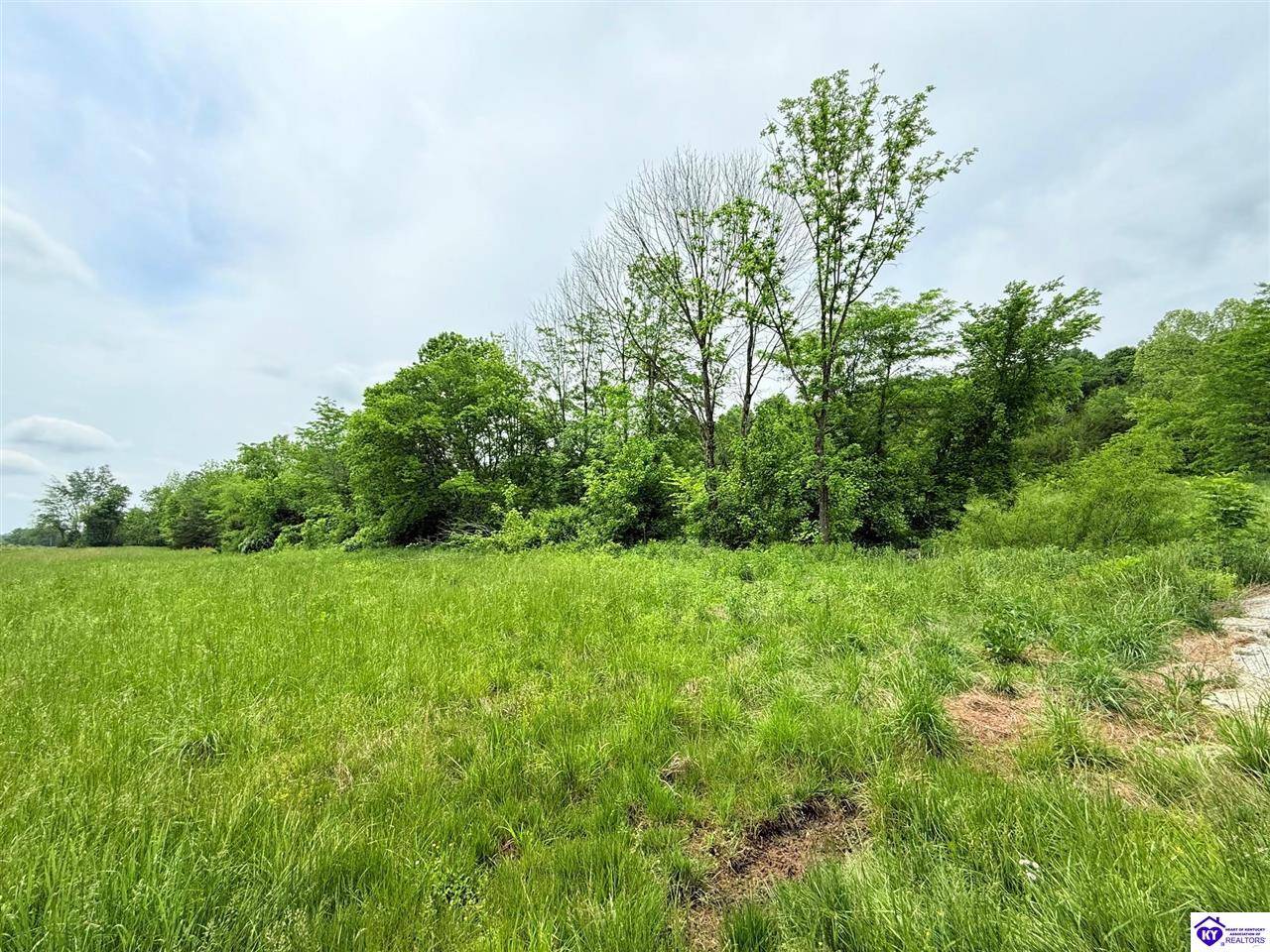Greensburg, KY 42743,1581 Old Cedar Top School Road