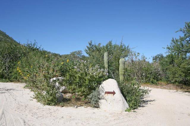 East Cape, Baja,Monte Bello #Monte Bello M1-04