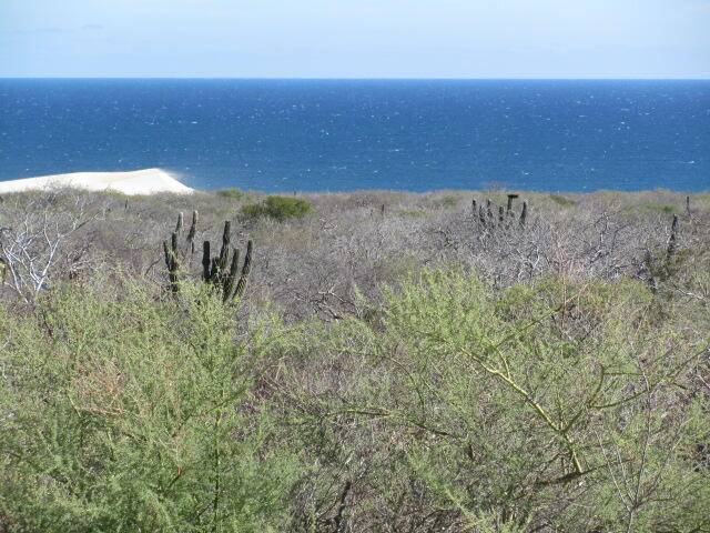 East Cape, Baja,14 Cholla Calle #40