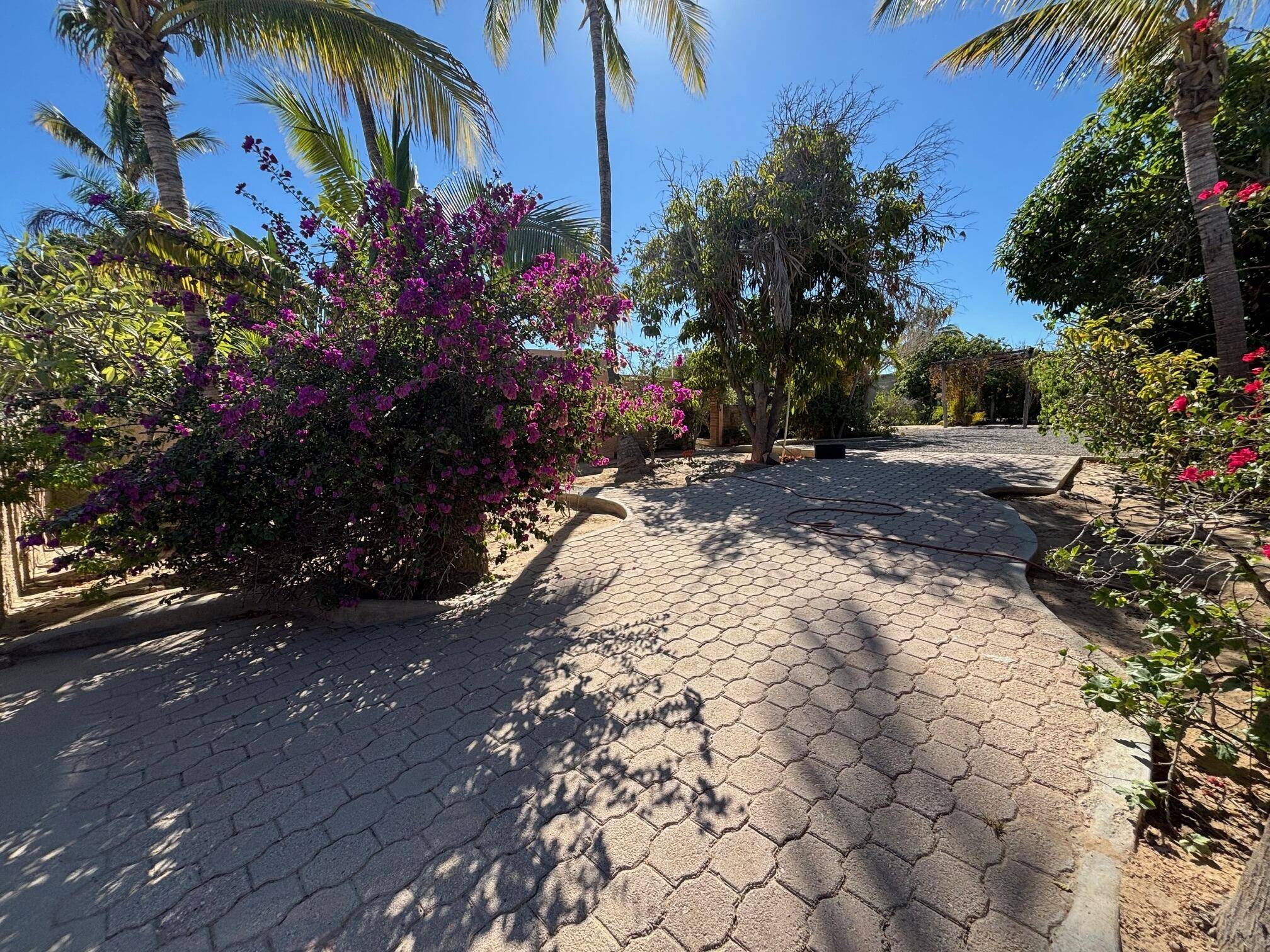 East Cape, Baja,3 Josefino Castillo #Casa de Paz