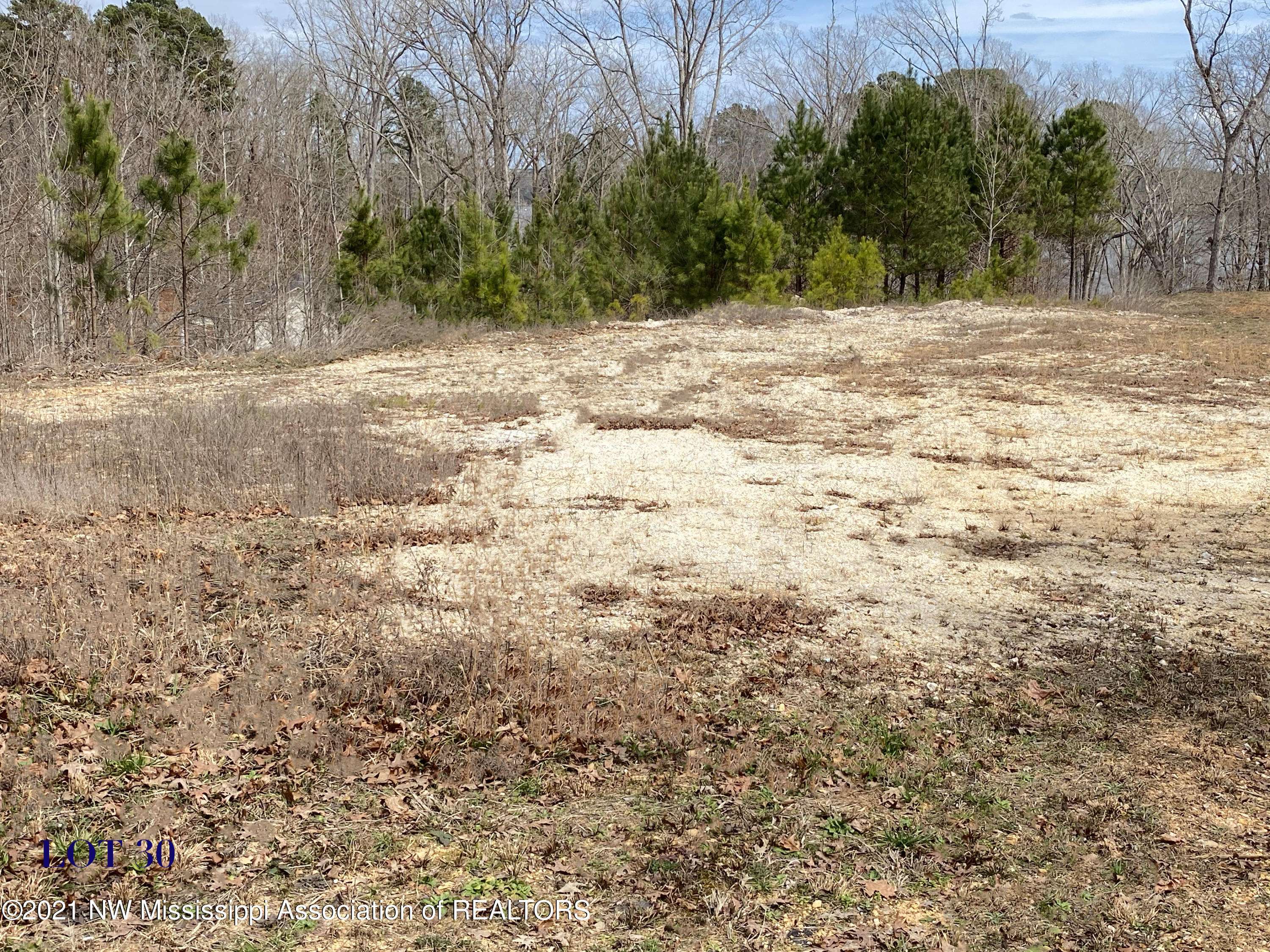 Iuka, MS 38852,30 Joye ln