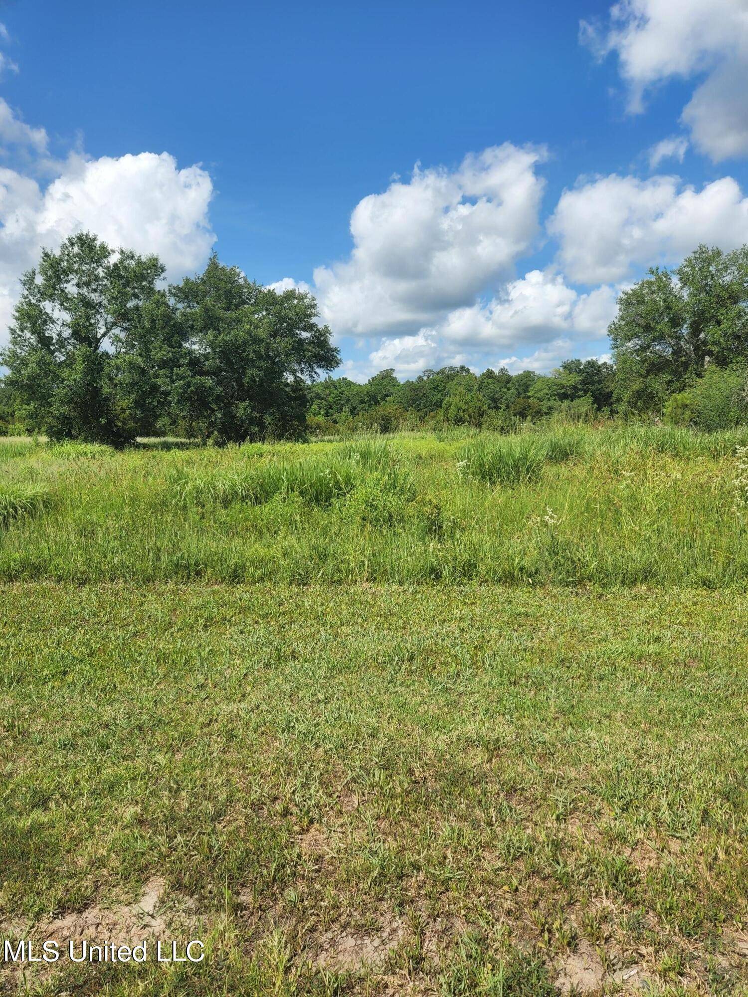 Bay Saint Louis, MS 39520,O Atlantis Drive #23