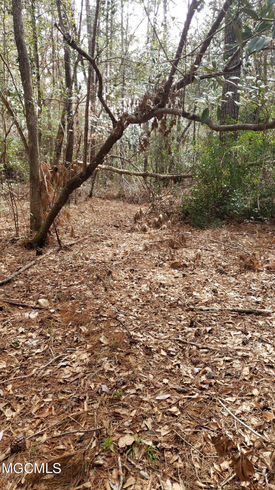 Vancleave, MS 39565,21902 Old River Road