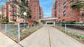Brooklyn, NY 11230,345 Webster Avenue #1F