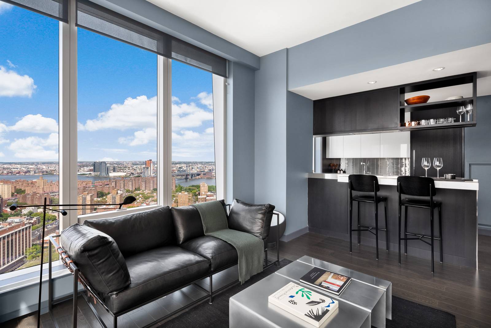 Manhattan, NY 10002,252 South Street #29L