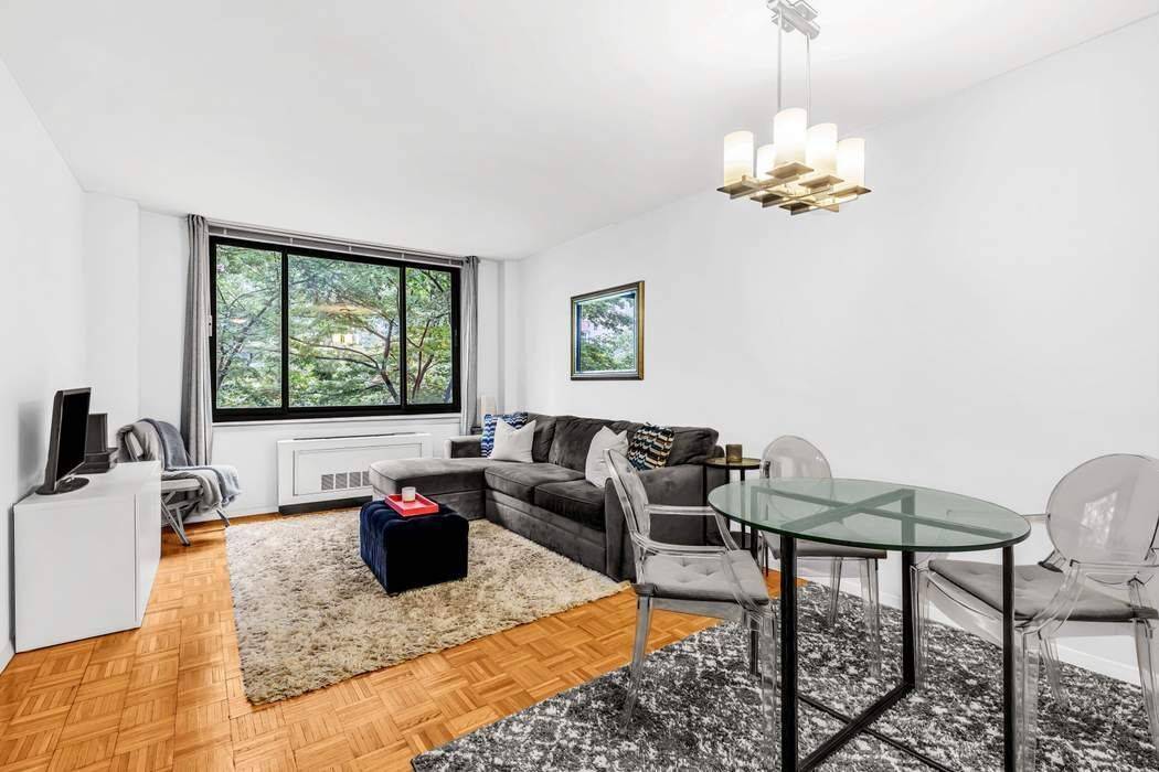 Manhattan, NY 10280,300 Albany Street #3K