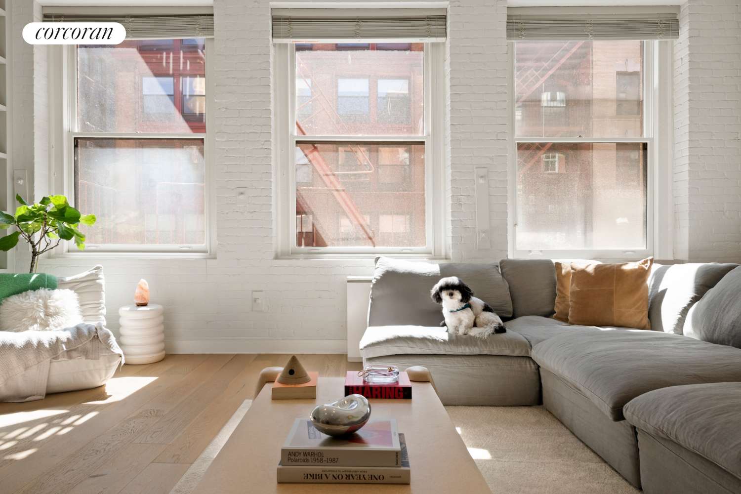Manhattan, NY 10013,11 JAY Street #2