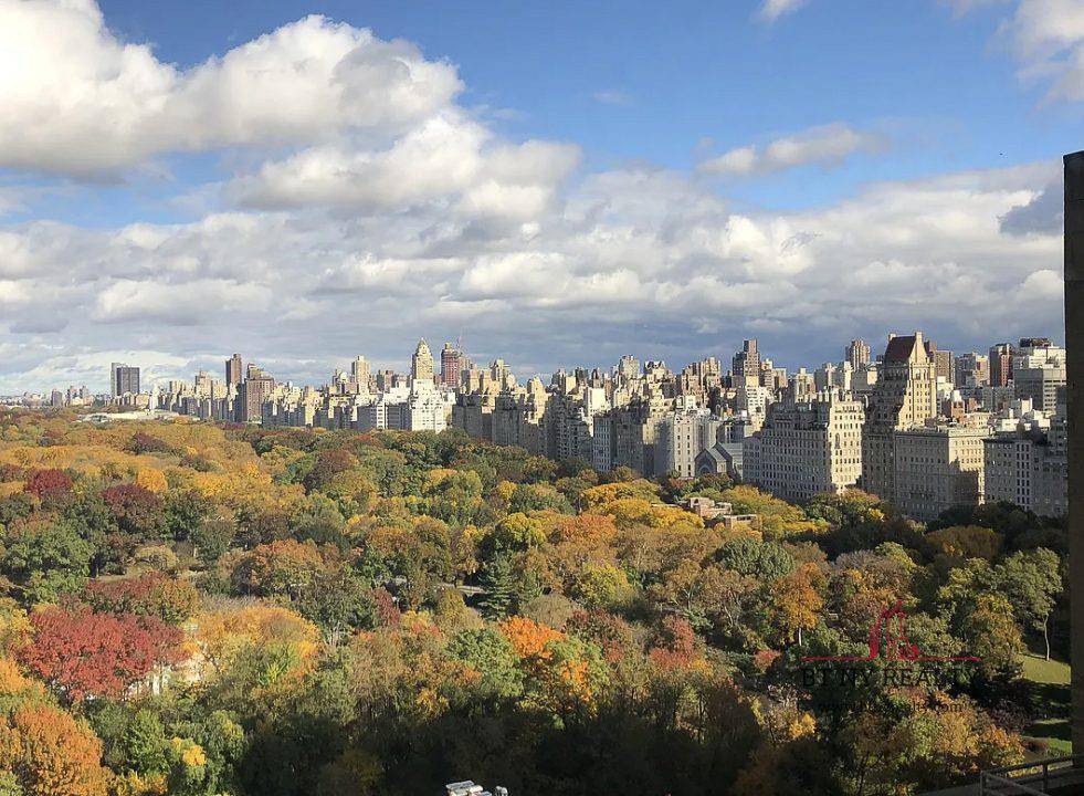 Manhattan, NY 10019,160 Central Park S #2118/2120