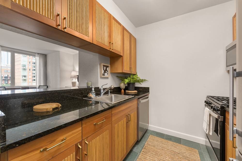 Manhattan, NY 10282,20 RIVER Terrace #17P