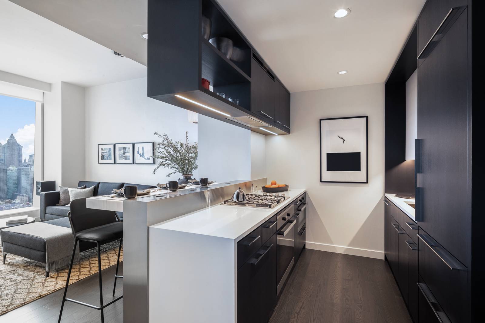 Manhattan, NY 10002,252 South Street #69L