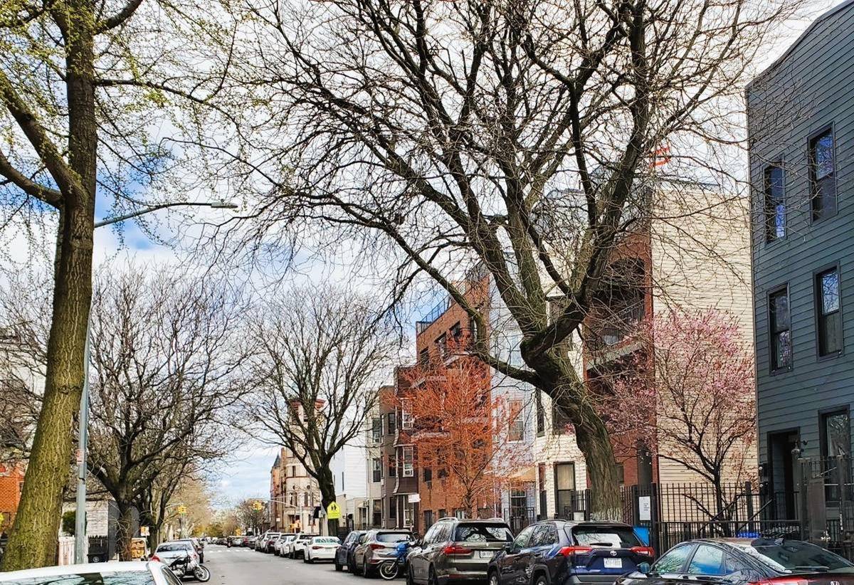 Brooklyn, NY 11221,964 Madison Street