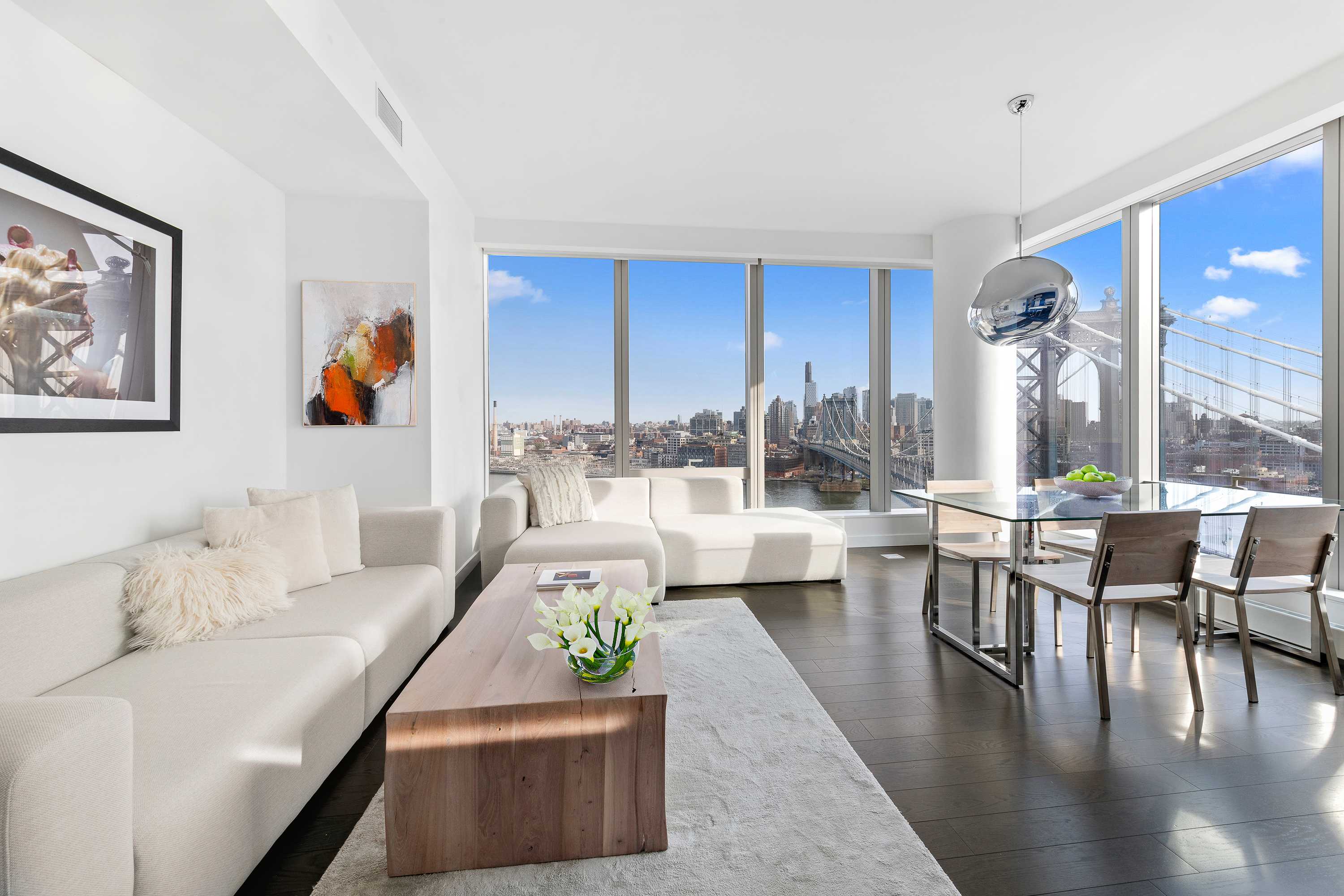 Manhattan, NY 10002,252 South Street #25D