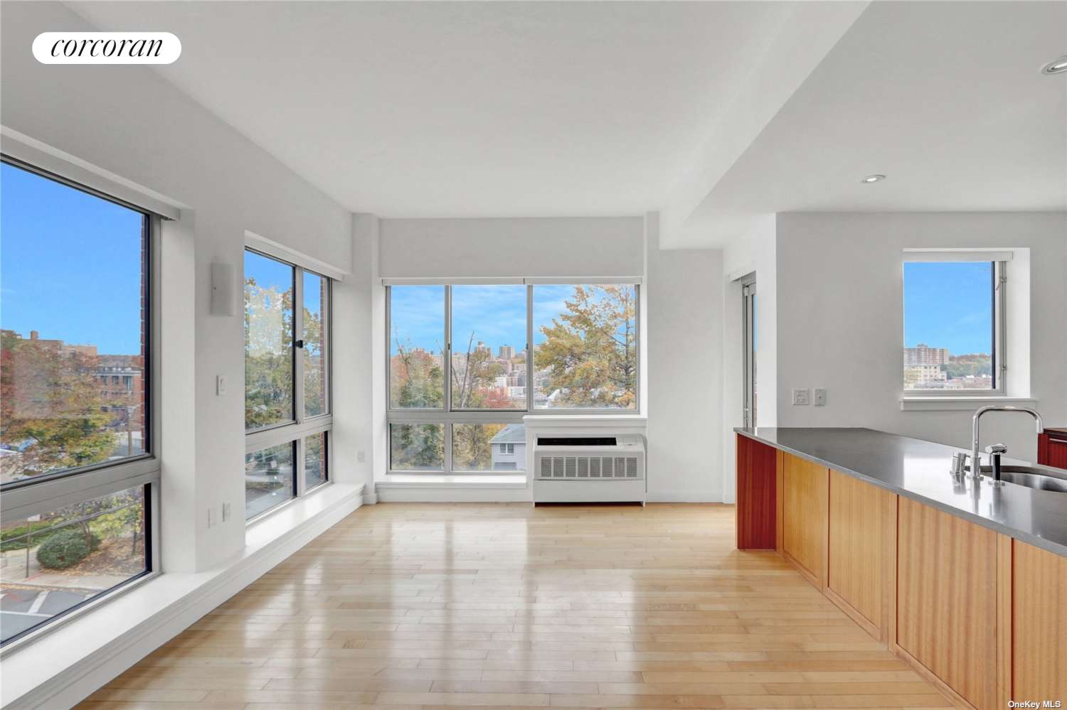 Bronx, NY 10463,3585 GREYSTONE Avenue #4C