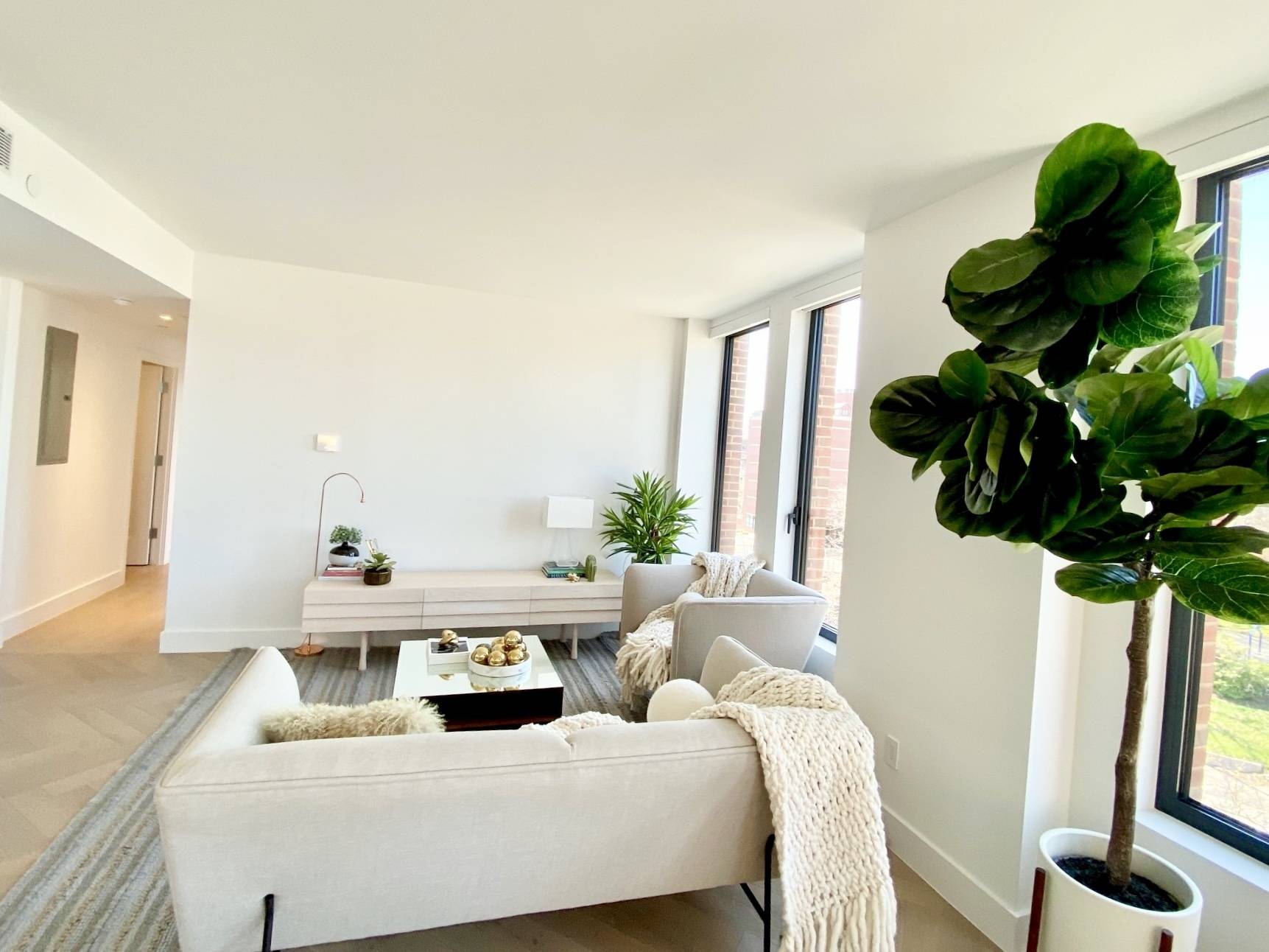 Brooklyn, NY 11201,78 Amity Street #4B