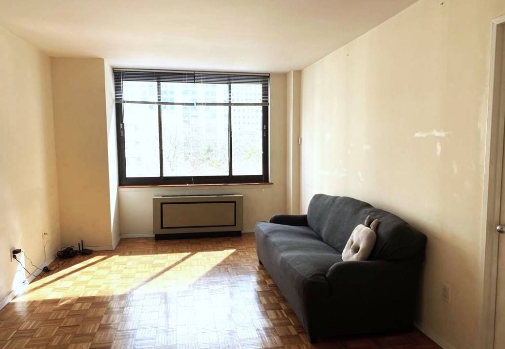 Manhattan, NY 10280,300 Albany Street #6G