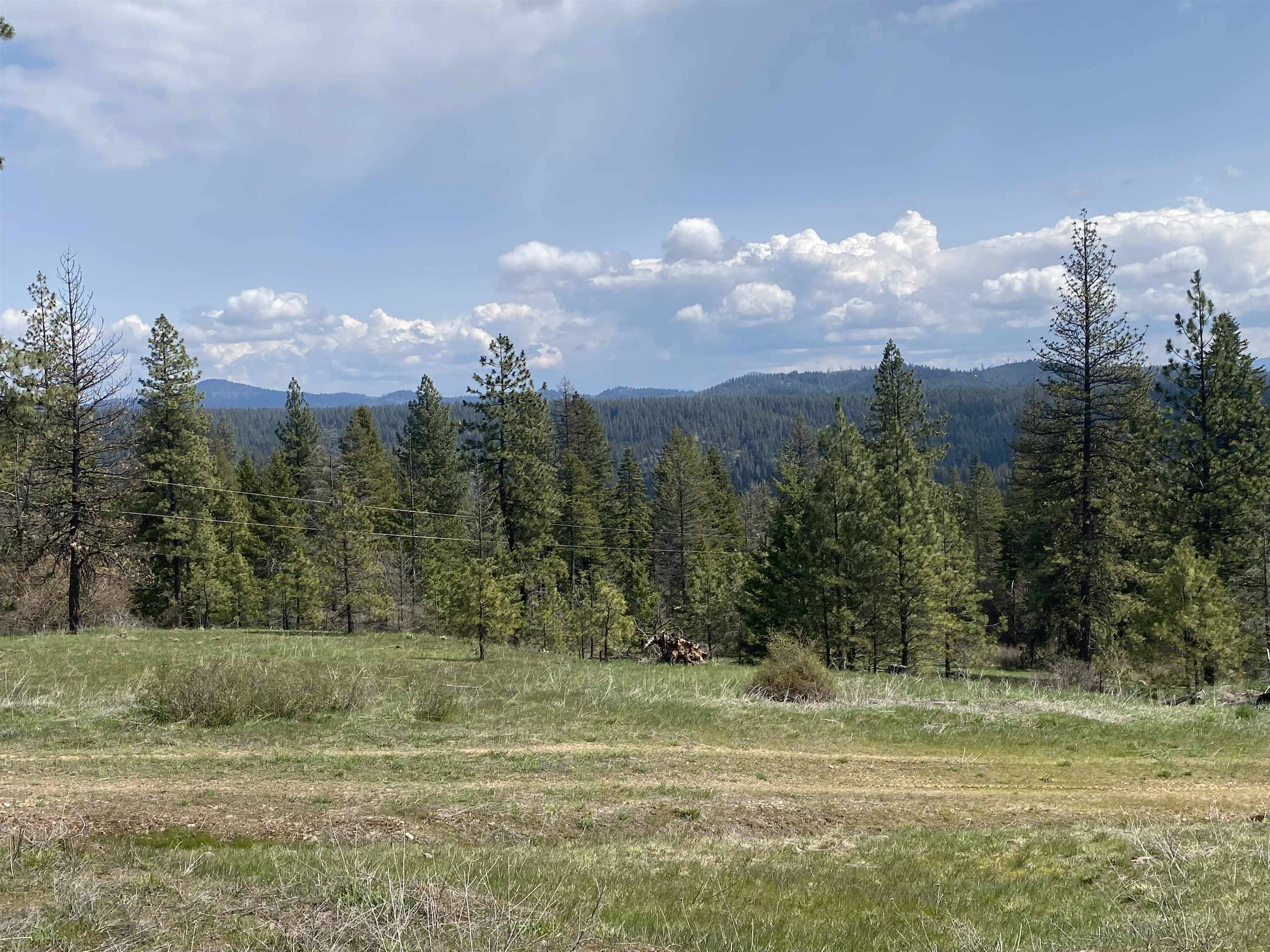 Deer Park, WA 99006,XX Horseshoe Lake Rd