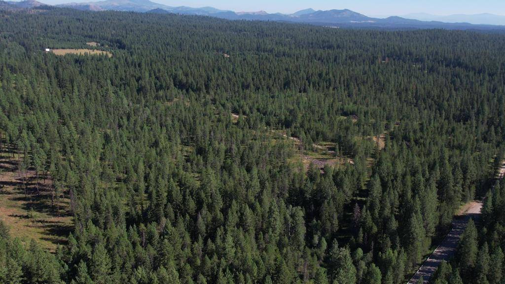 Springdale, WA 99173,0 Drum Rd