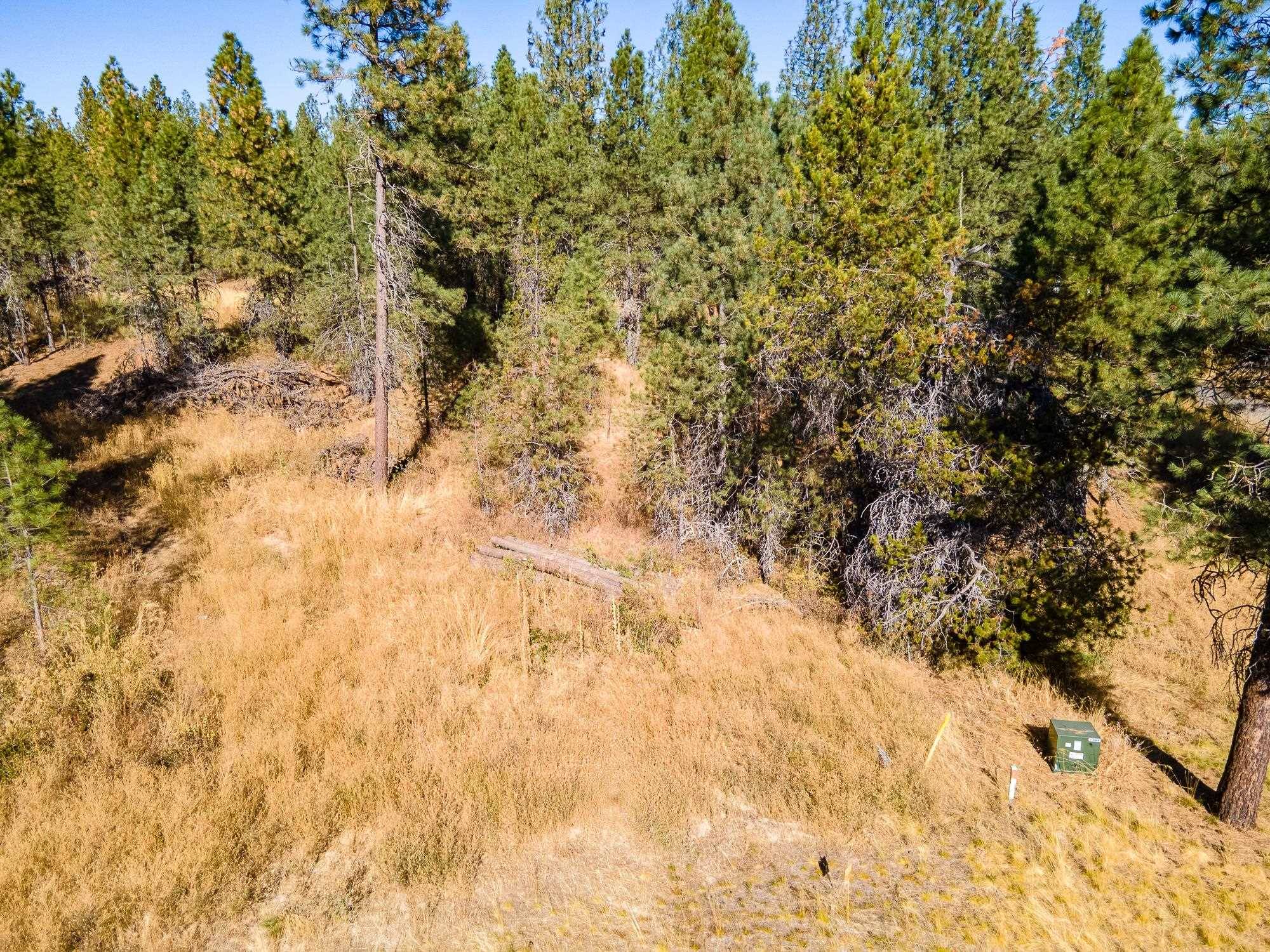 Deer Park, WA 99006,Lot 37 E North Park Ln