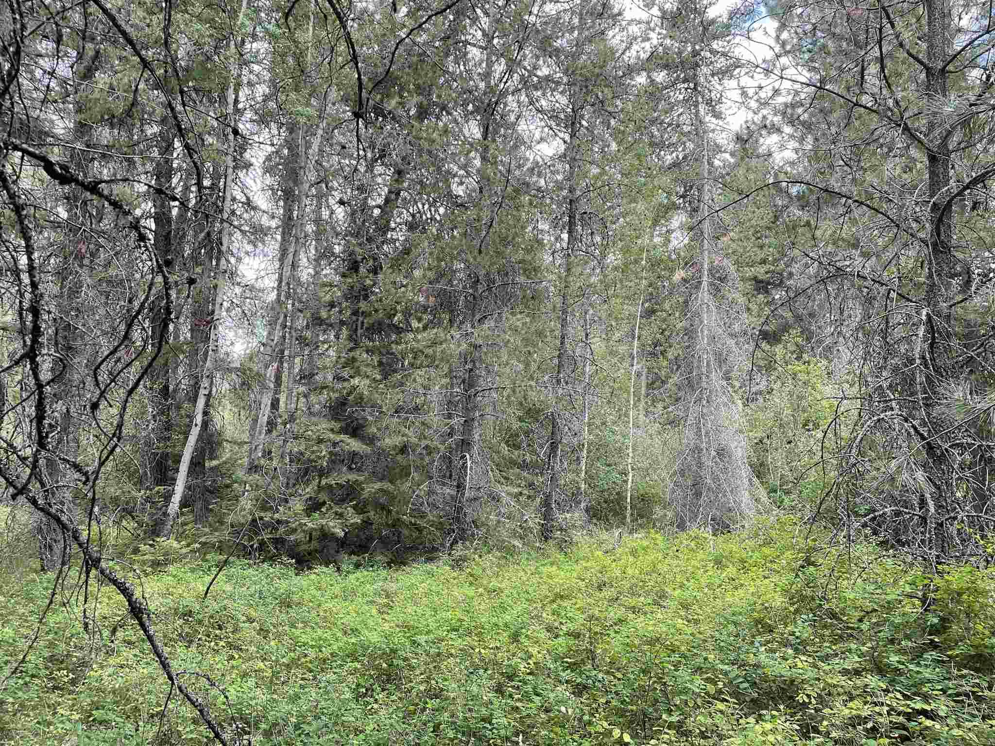 Clayton, WA 99110,xxxx Garden Spot Rd #LOT 3