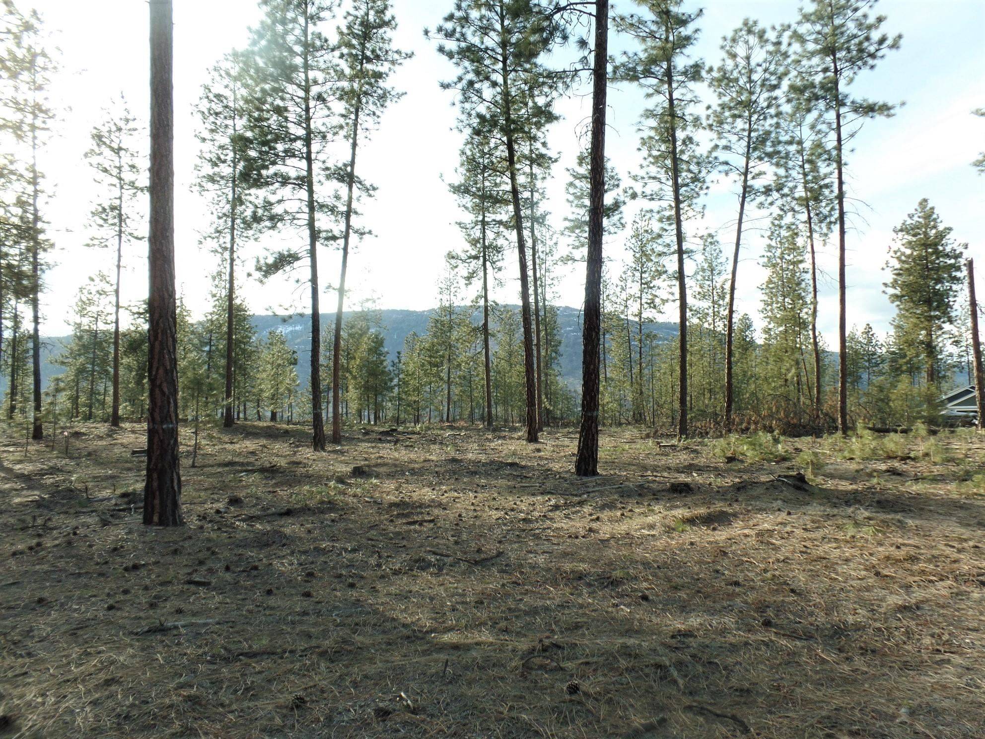 Kettle Falls, WA 99141,Lot #3 Fumi Cir