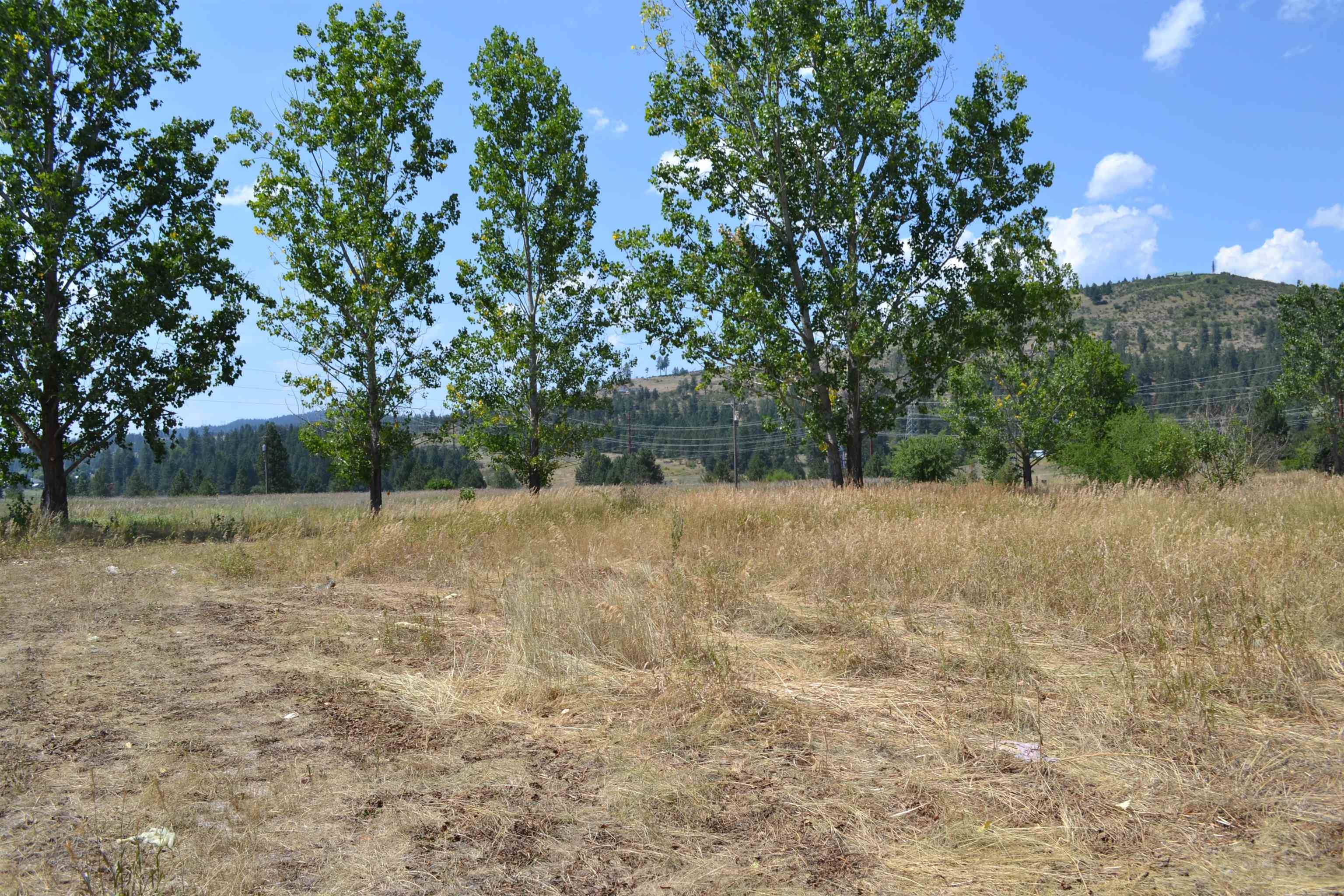 Newman Lake, WA 99025,24224 E Rosewood Ave