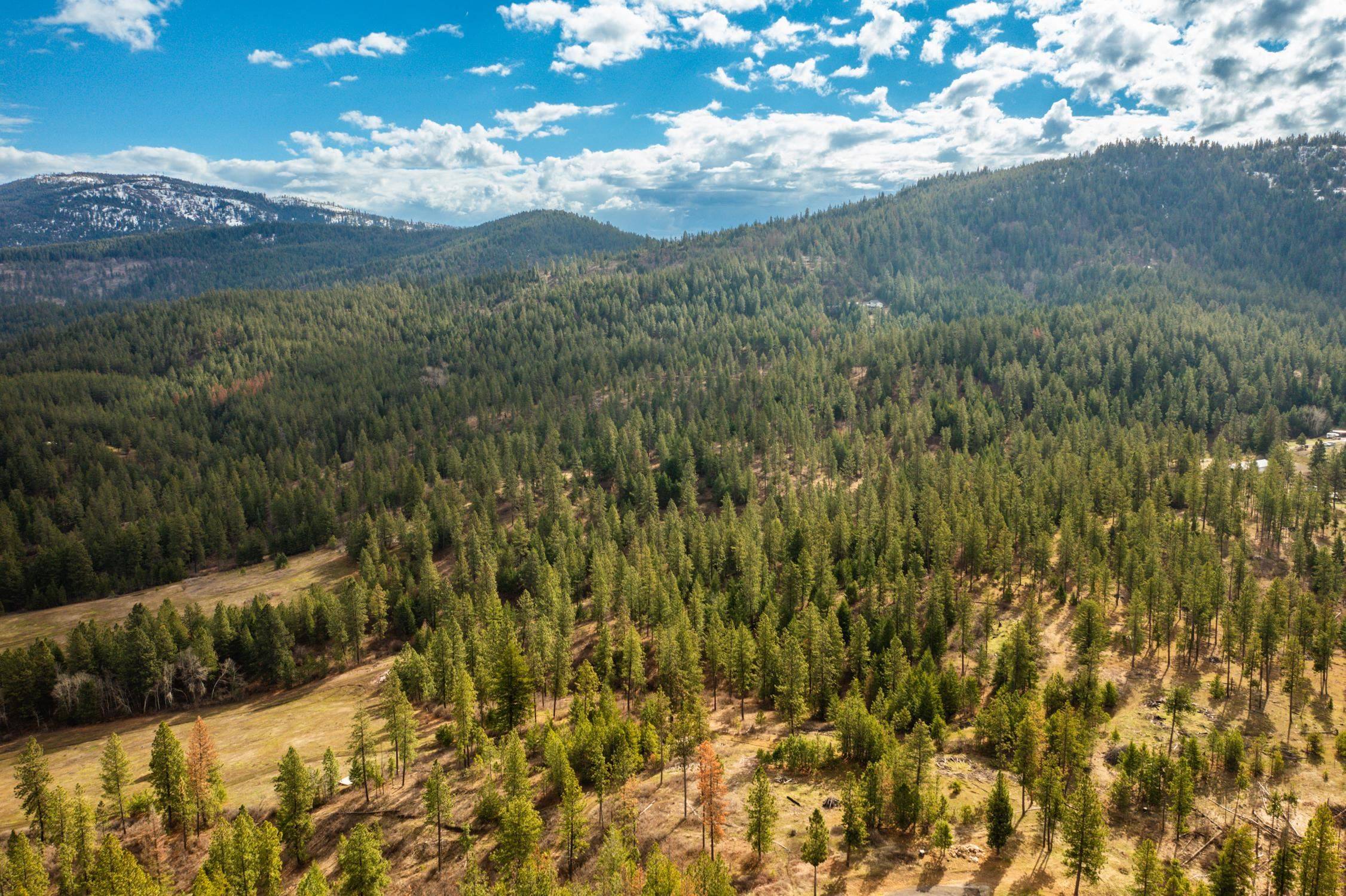 Mica, WA 99023,179XX E Belmont Rd #Lot #1