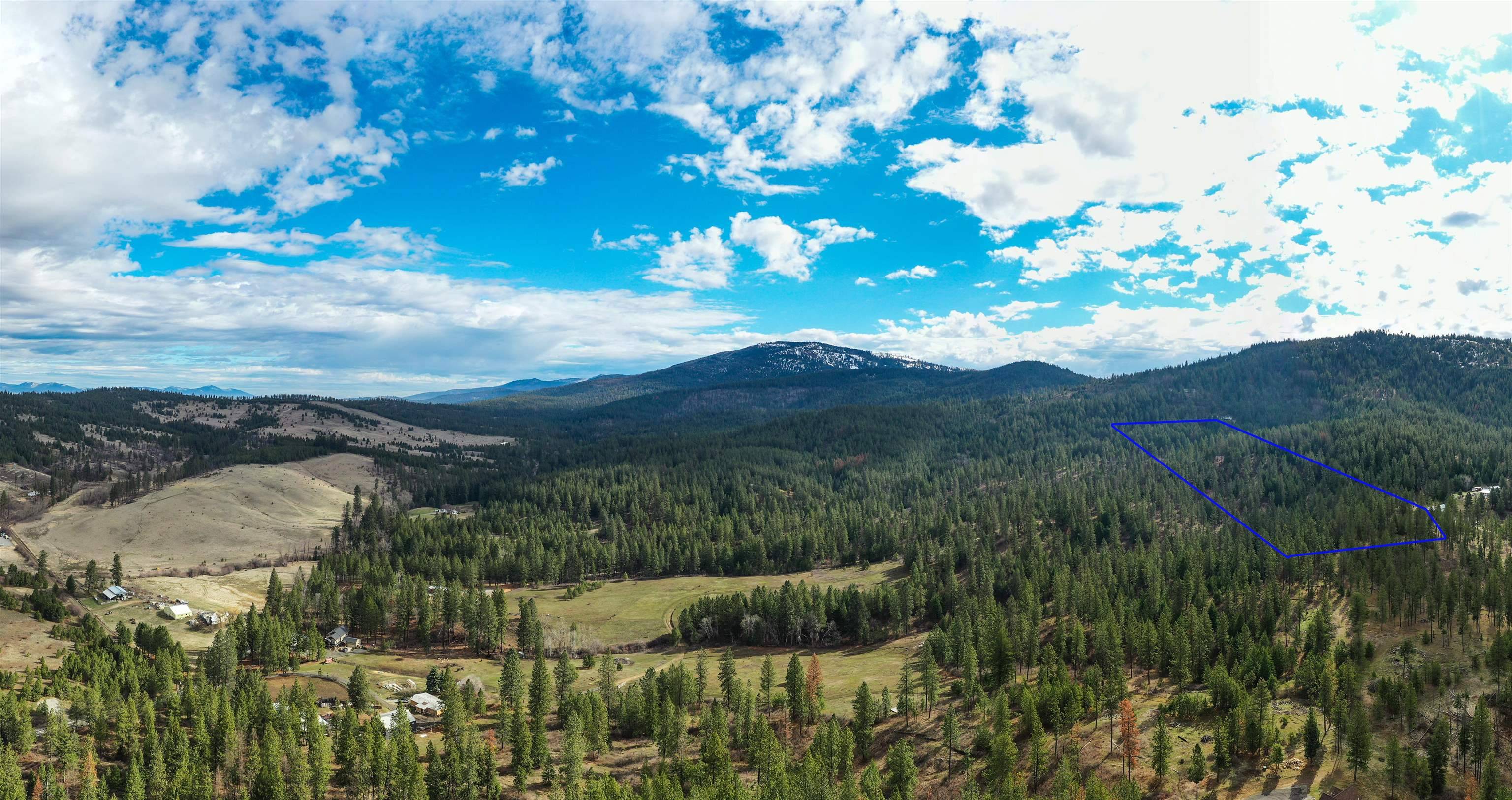 Mica, WA 99023,179XX E Belmont Rd #Lot  #4