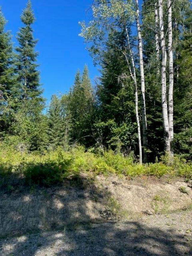 Ione, WA 99139,TBD Lot 12 N Leclerc Rd