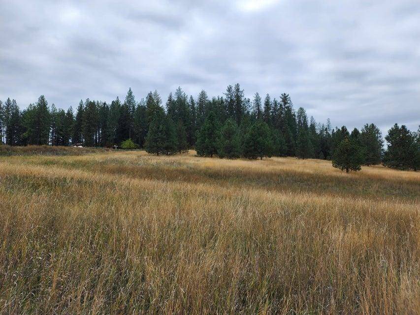 Colville, WA 99114-0000,TBD S Elm St