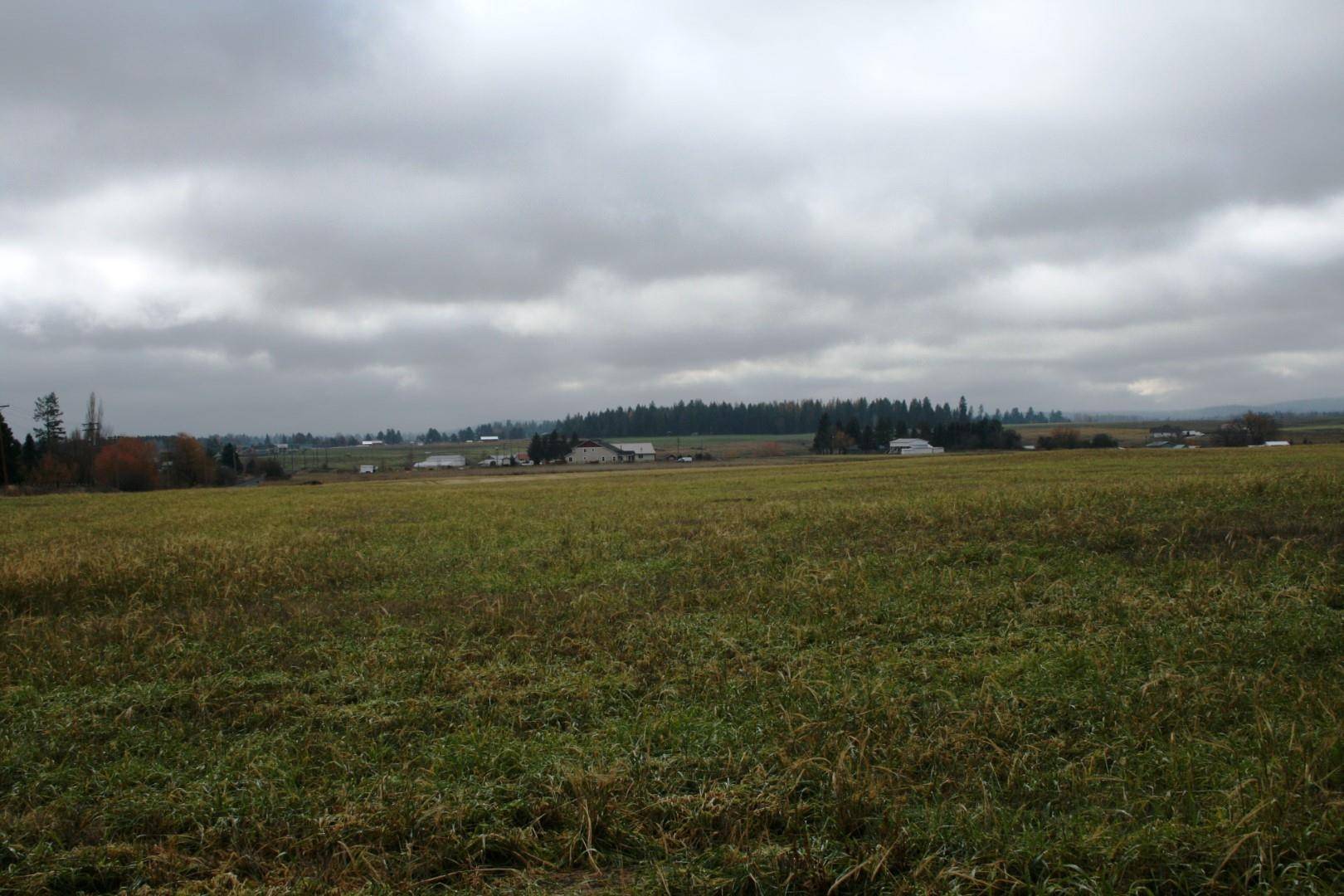 Deer Park, WA 99006,Lot 2 Mule Deer Ln