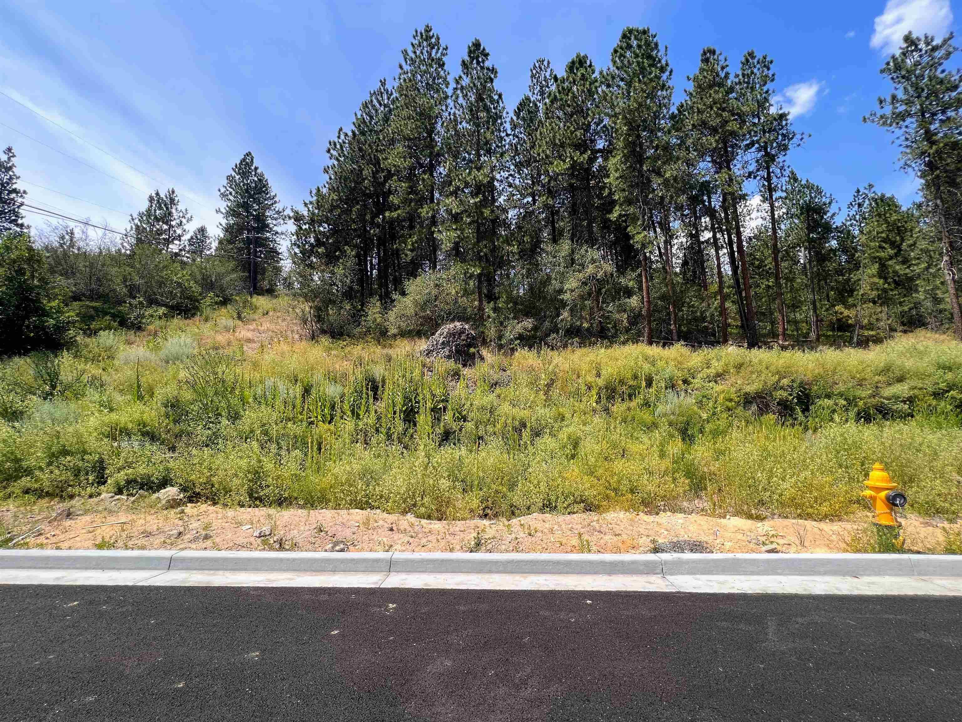 Spokane, WA 99208,8XXX N Jefferson Dr #Lot 10