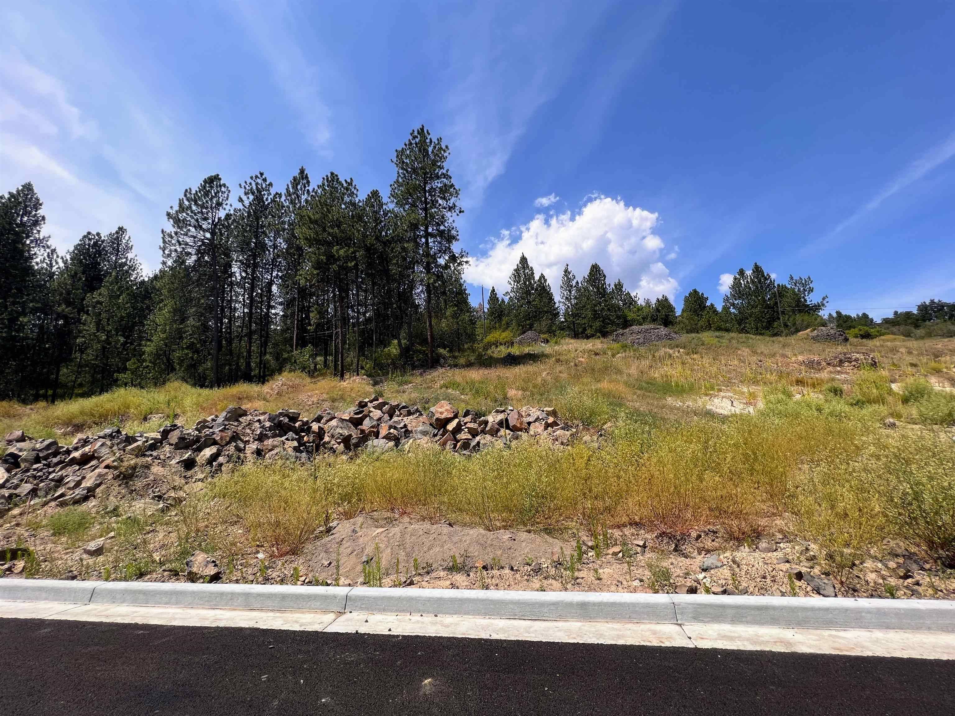 Spokane, WA 99208,8XXX N Jefferson Dr #Lot 14