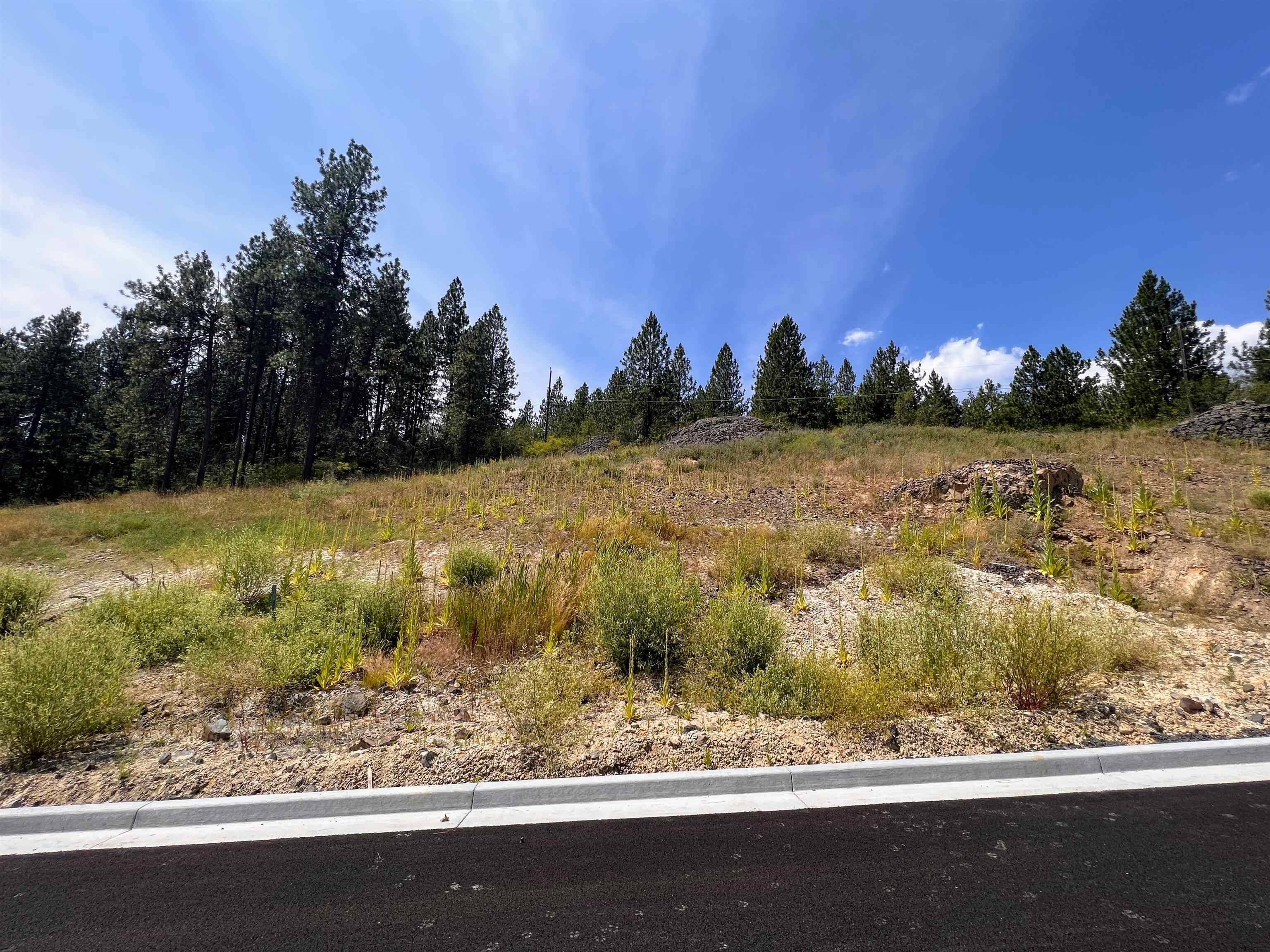 Spokane, WA 99208,8XXX N Jefferson Dr #Lot 15