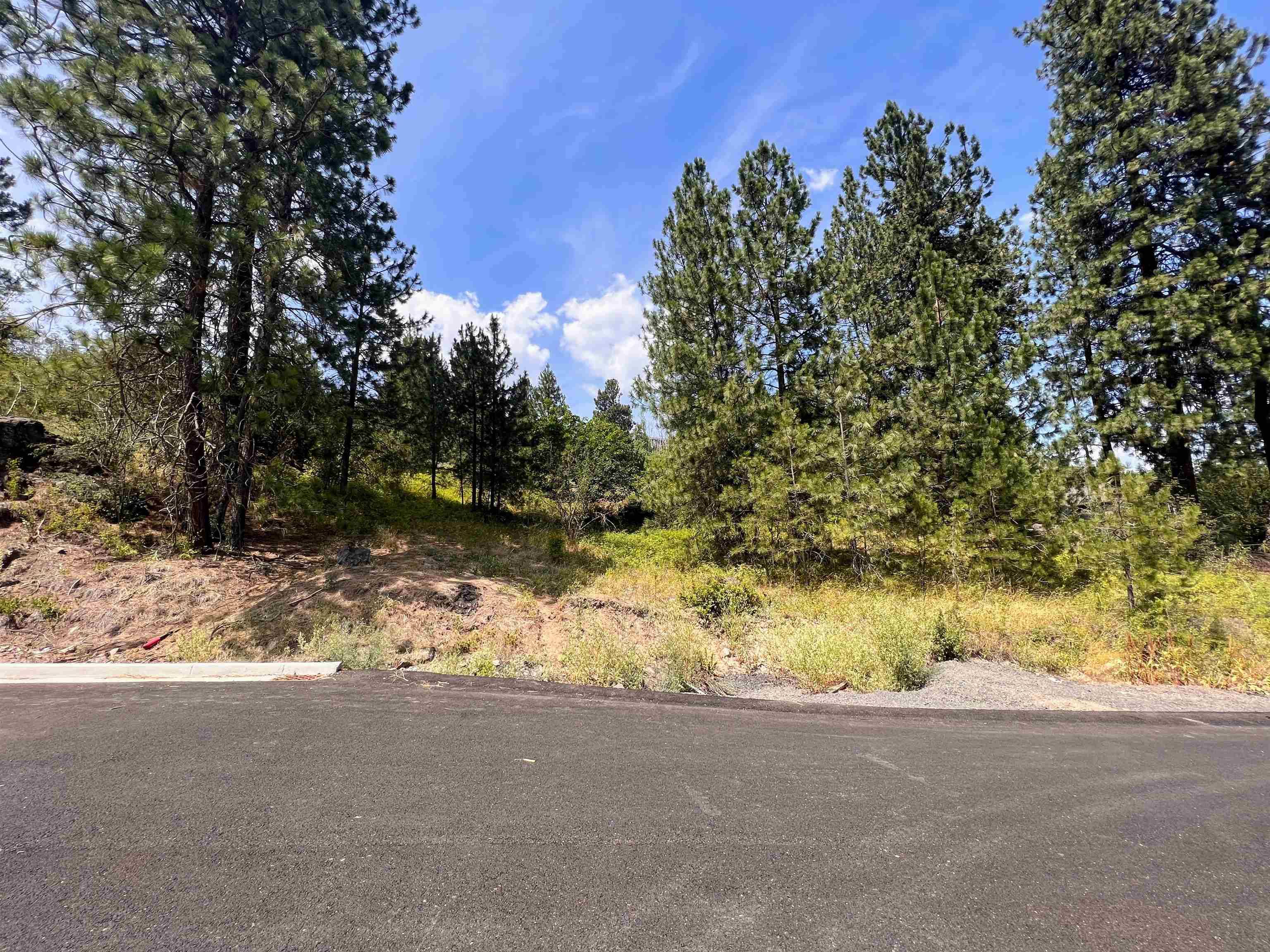 Spokane, WA 99208,8XXX N Jefferson Dr #Lot 21