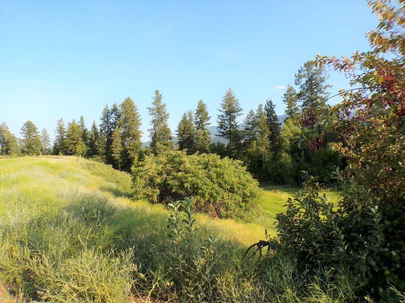 Kettle Falls, WA 99141,781 H HWY 395 Hwy