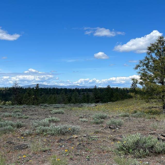Davenport, WA 99122,31025 Ruffed Grouse E Dr